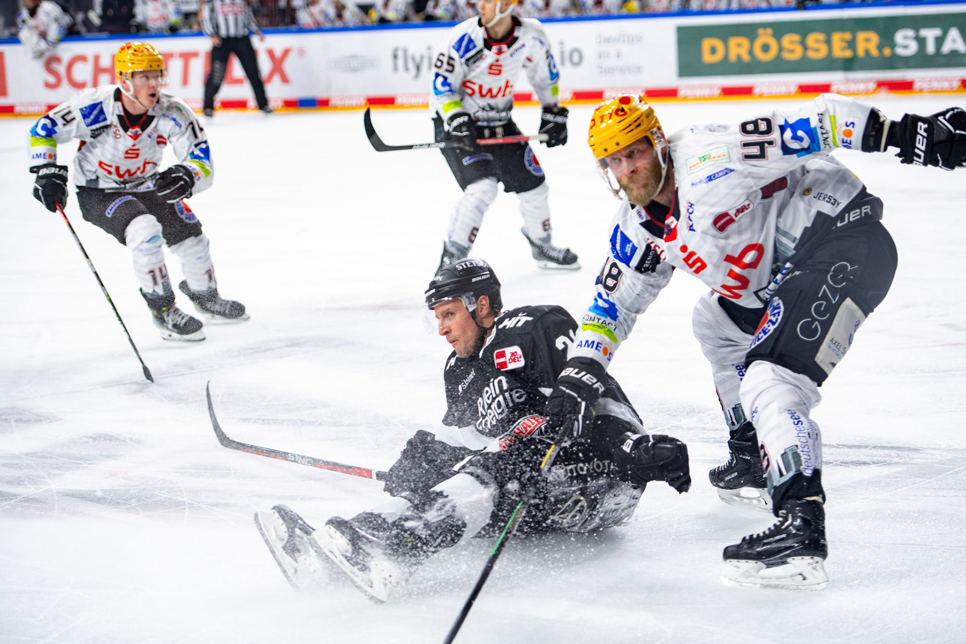 David Mcintyre im Zweikampf mit Nicholas B. Jensen; DEL Kölner Haie - Bremerhaven Fischtown Pinguins, 01.11.2023