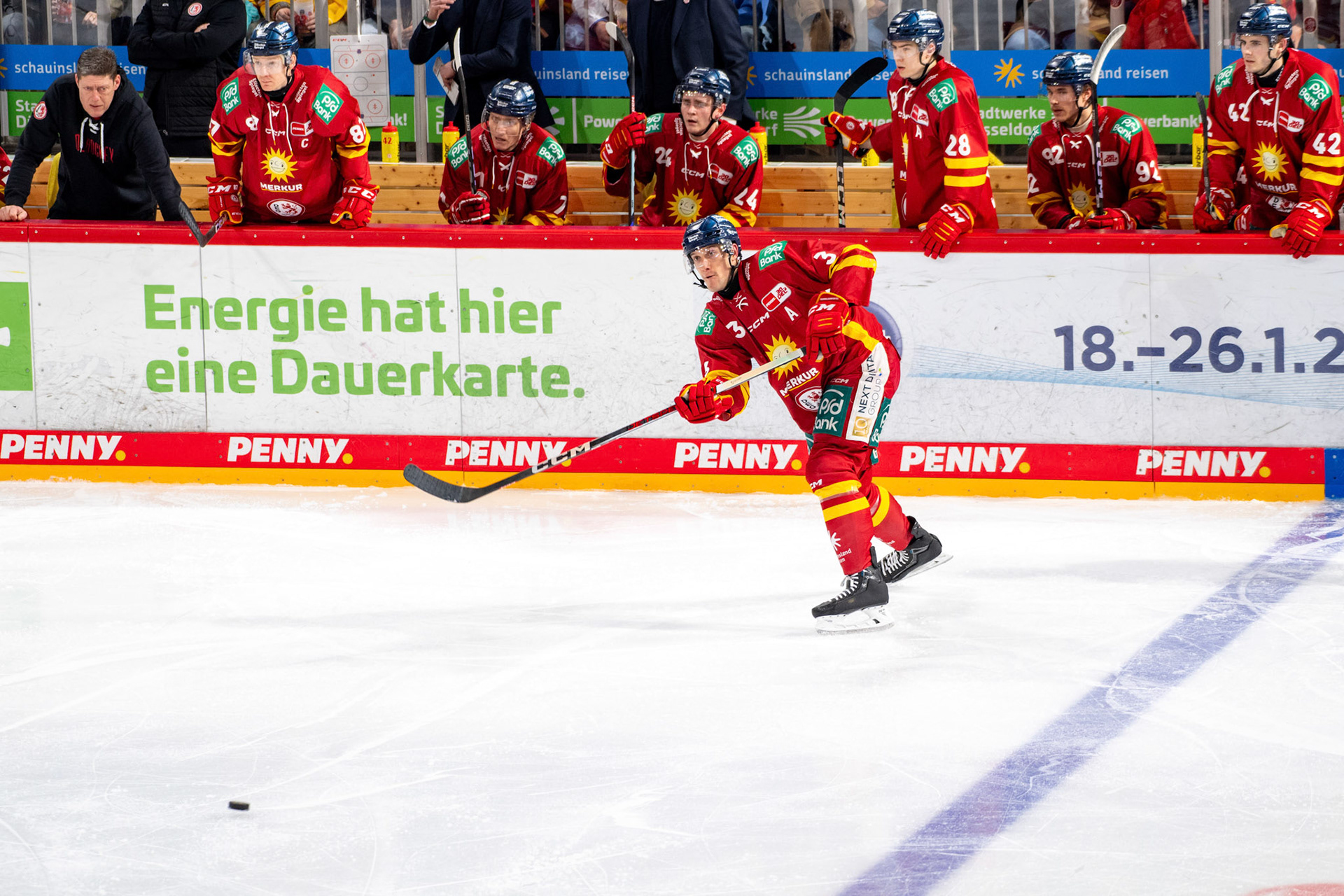 Alec Mccrea; DEL Düsseldorfer EG - Kölner Haie, 25.02.2024