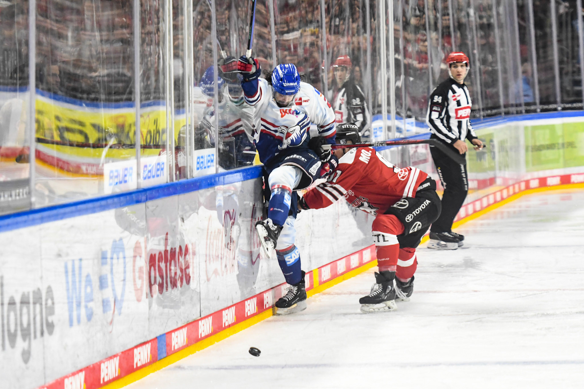 Matthias Plachta; DEL Kölner Haie - Adler Mannheim, 17.03.2023