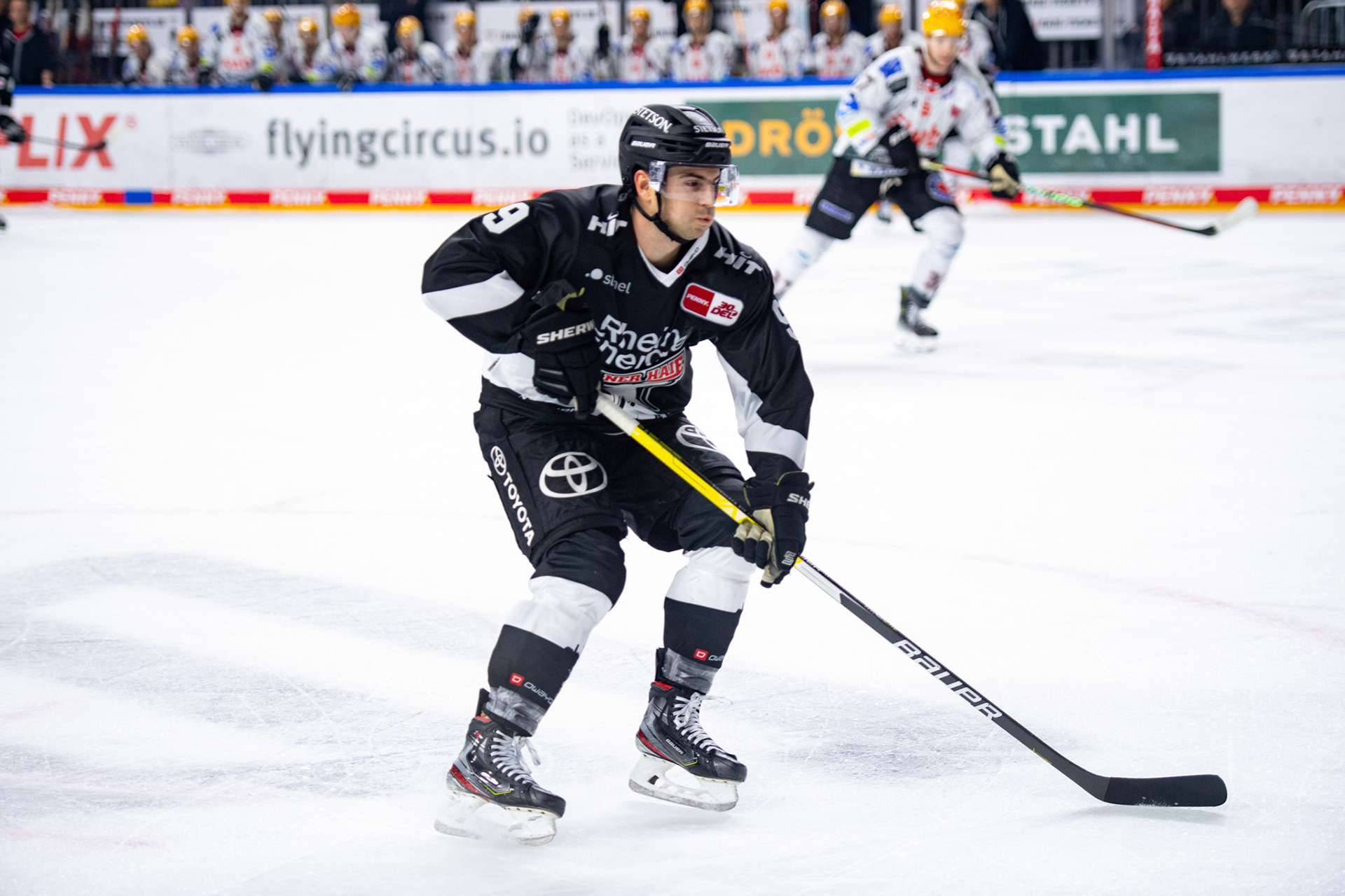 Maximilian Kammerer; DEL Kölner Haie - Bremerhaven Fischtown Pinguins, 01.11.2023