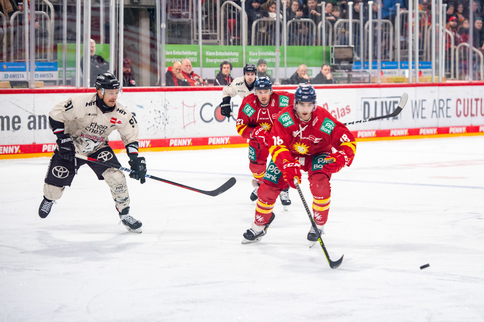 Kenny Agostino, Moritz Müller, Brendan O´Donnell; DEL Düsseldorfer EG - Kölner Haie, 25.02.2024