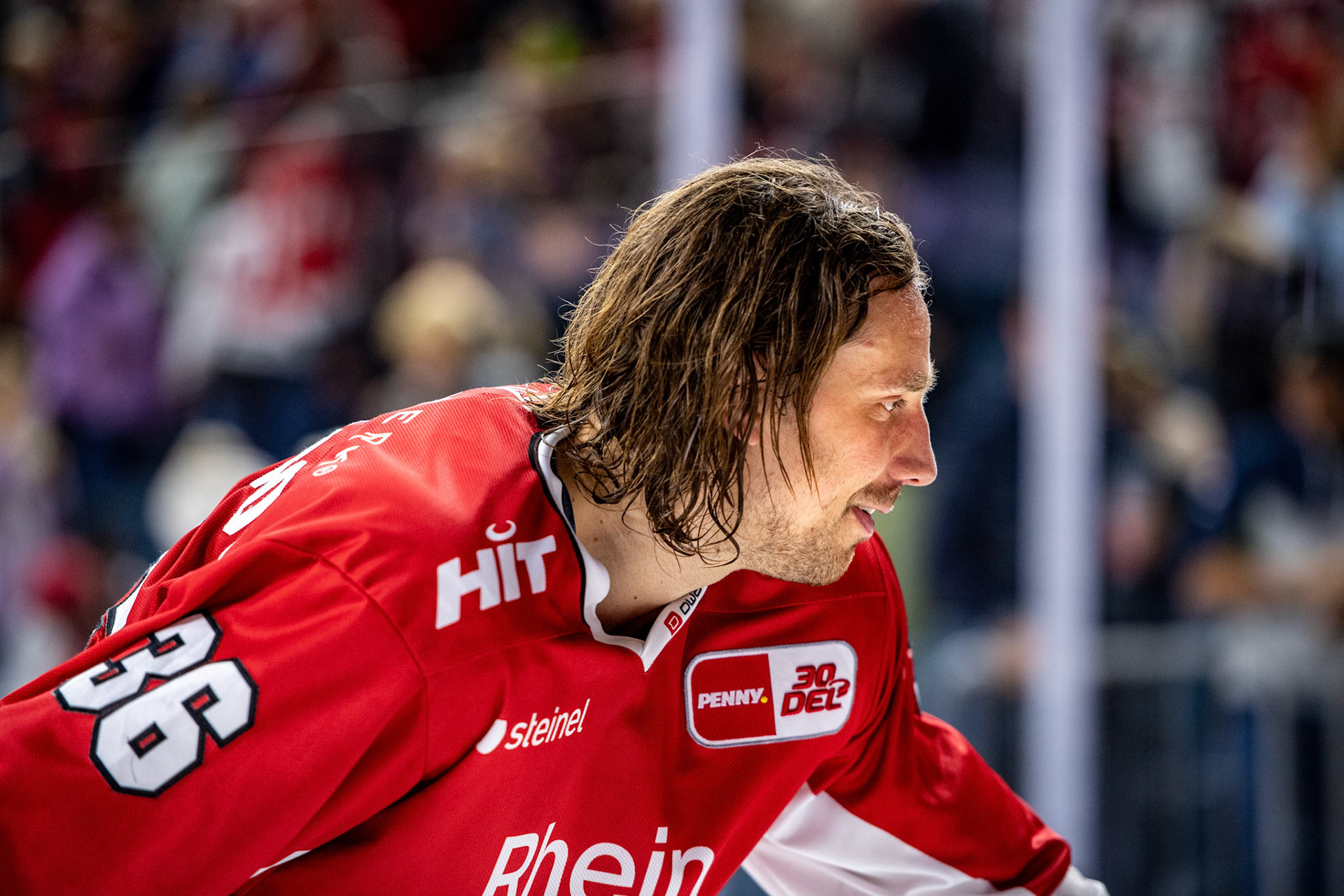 Andreas Thuresson; DEL Kölner Haie - Augsburger Panther, 03.10.2023