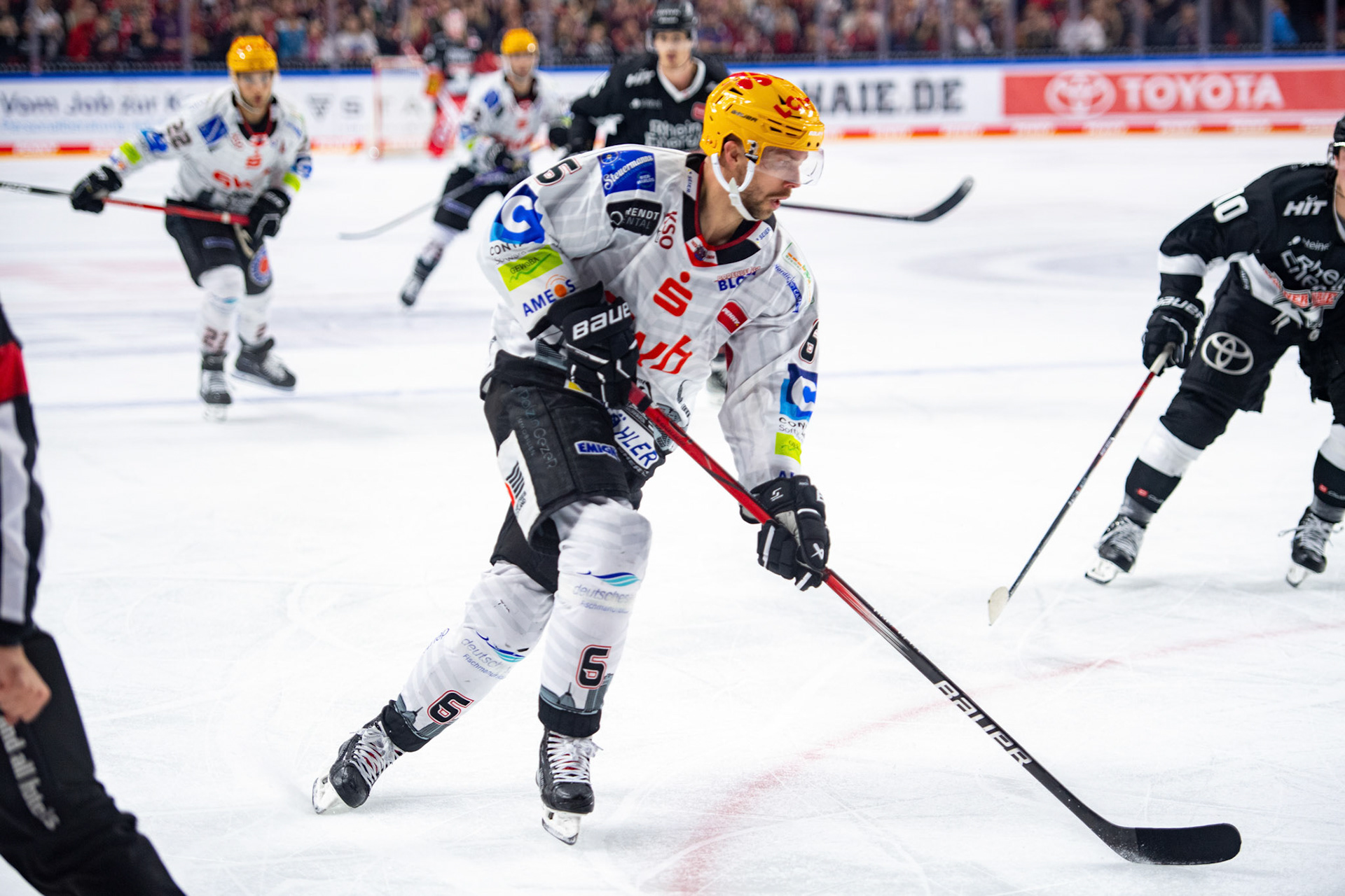 Anders Groenlund; DEL Kölner Haie - Bremerhaven Fischtown Pinguins, 01.11.2023