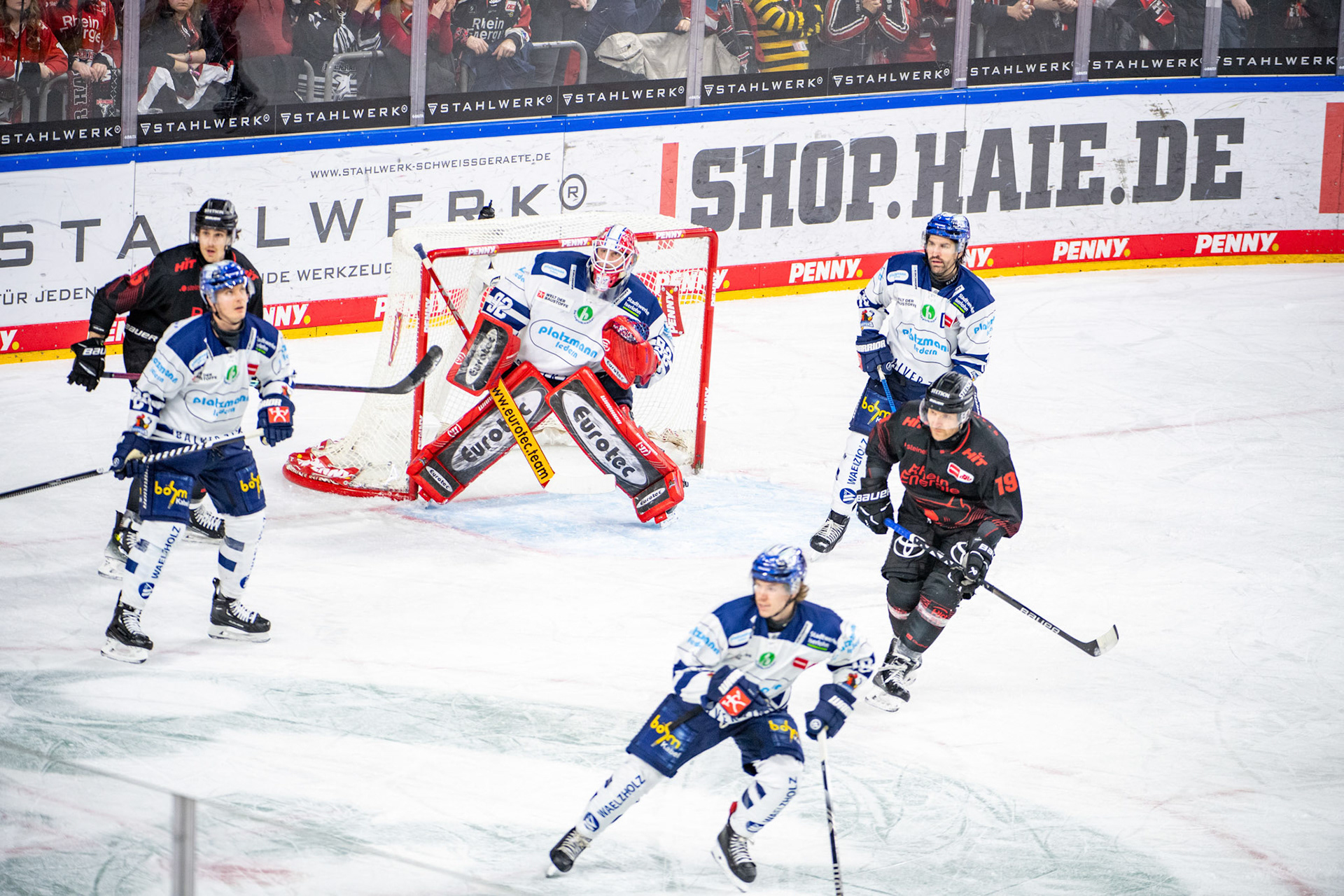 Frederik Storm, Andreas Jenike; DEL Kölner Haie - Iserlohn Roosters, 13.02.2024