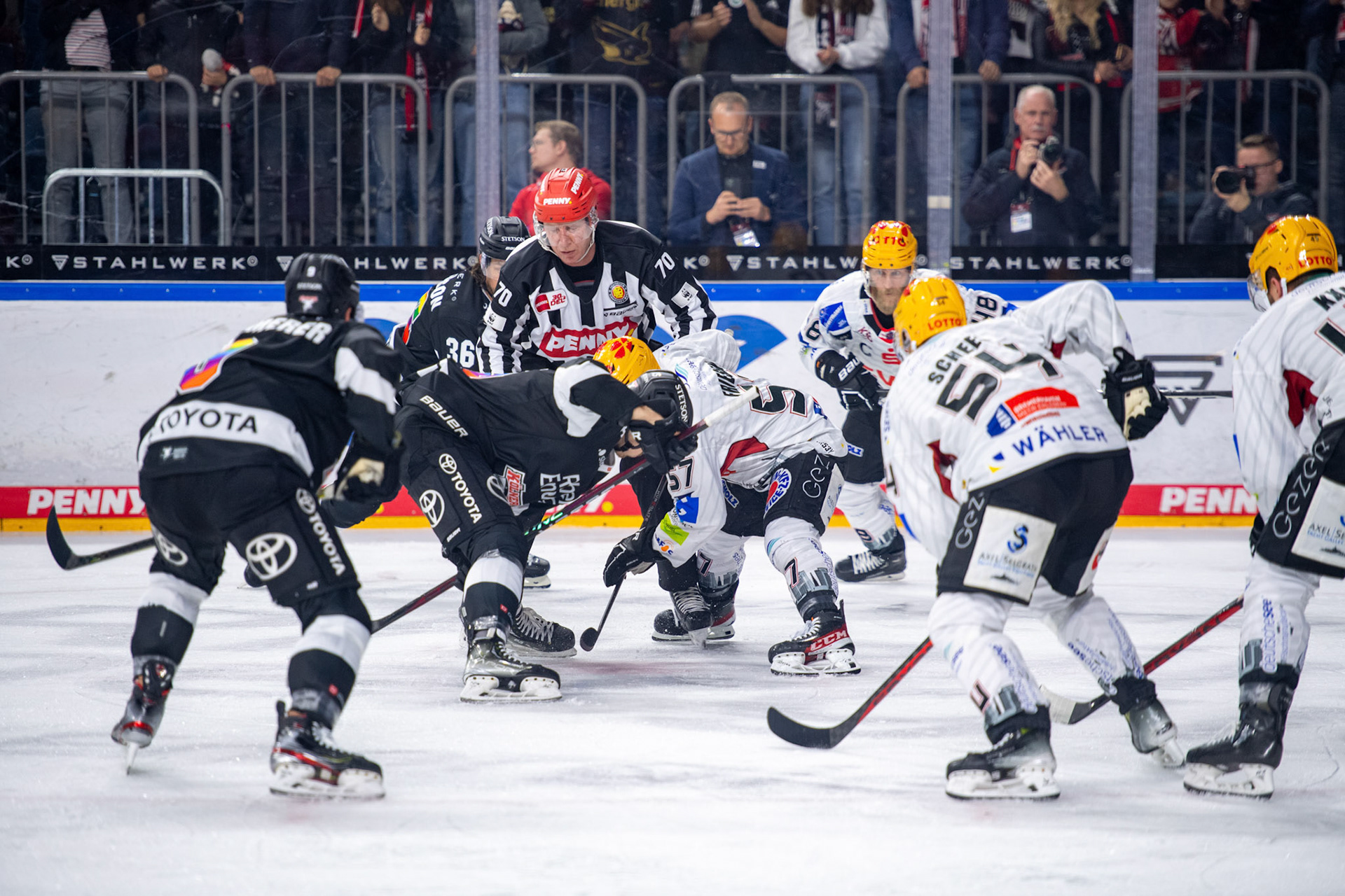 Koelner Haie, Bremerhaven Fischtown Pinguins; DEL Kölner Haie - Bremerhaven Fischtown Pinguins, 01.11.2023