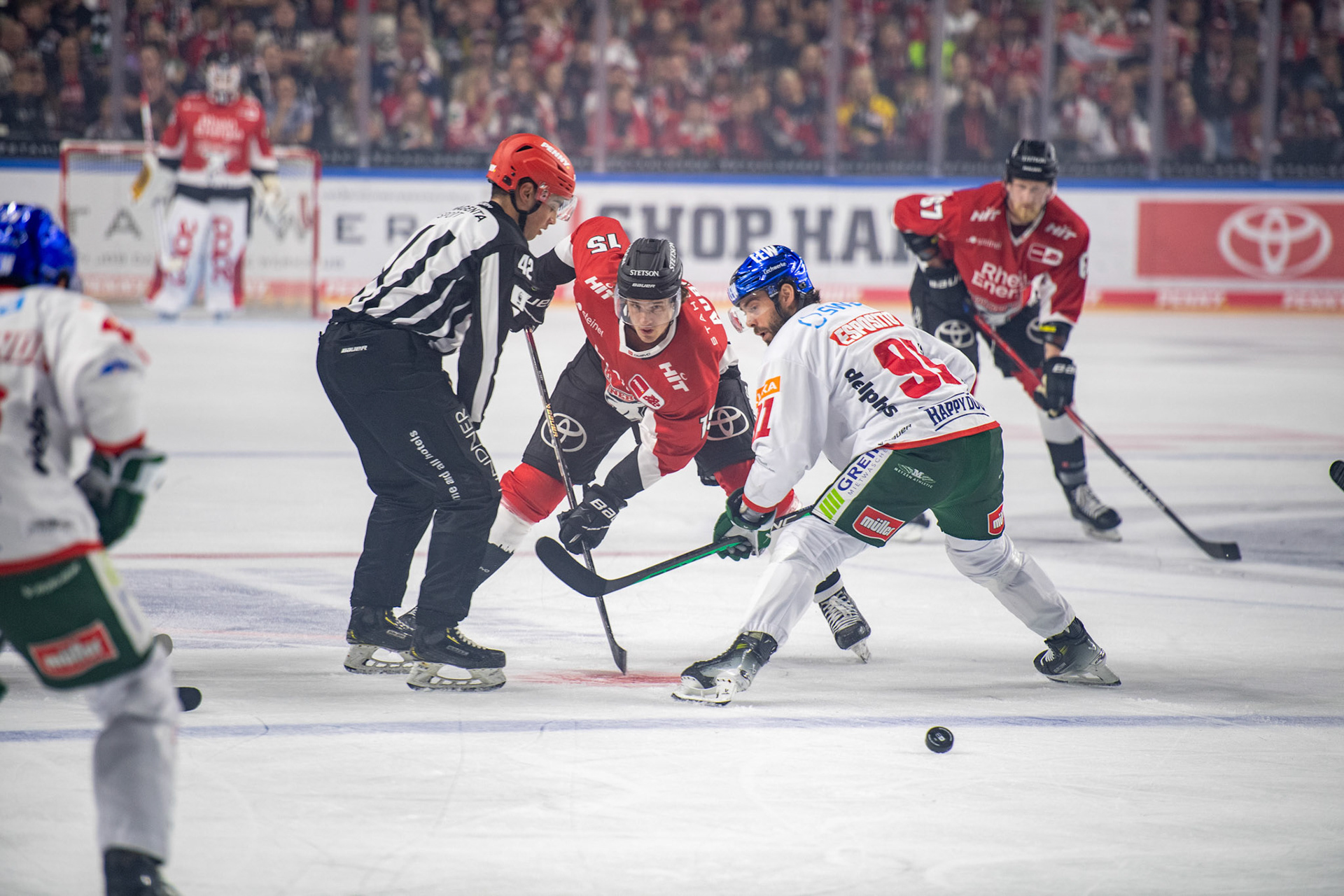 Louis Marc Aubry; DEL Kölner Haie - Augsburger Panther, 03.10.2023