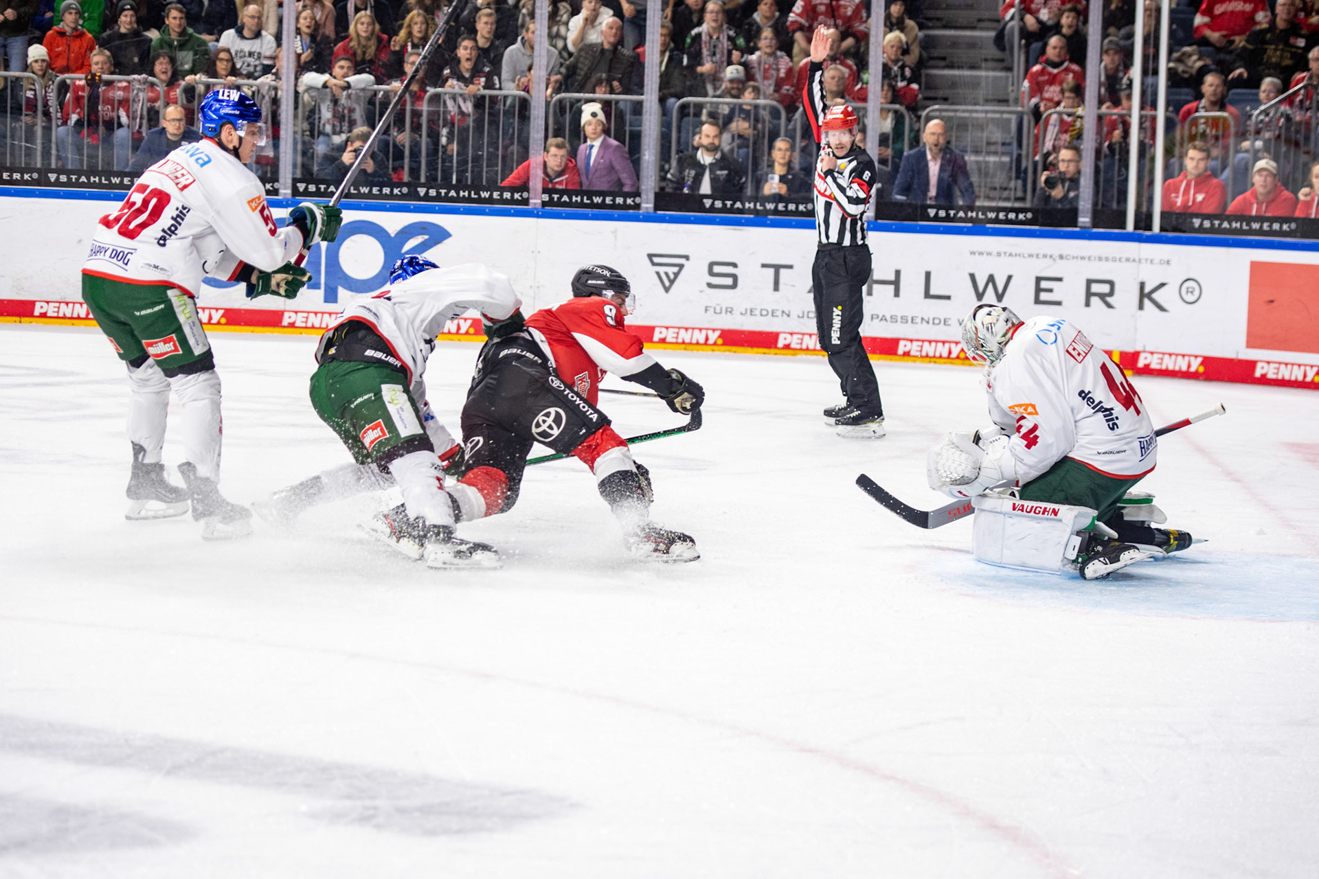 Maximilian Kammerer; DEL Kölner Haie - Augsburger Panther, 19.11.2023