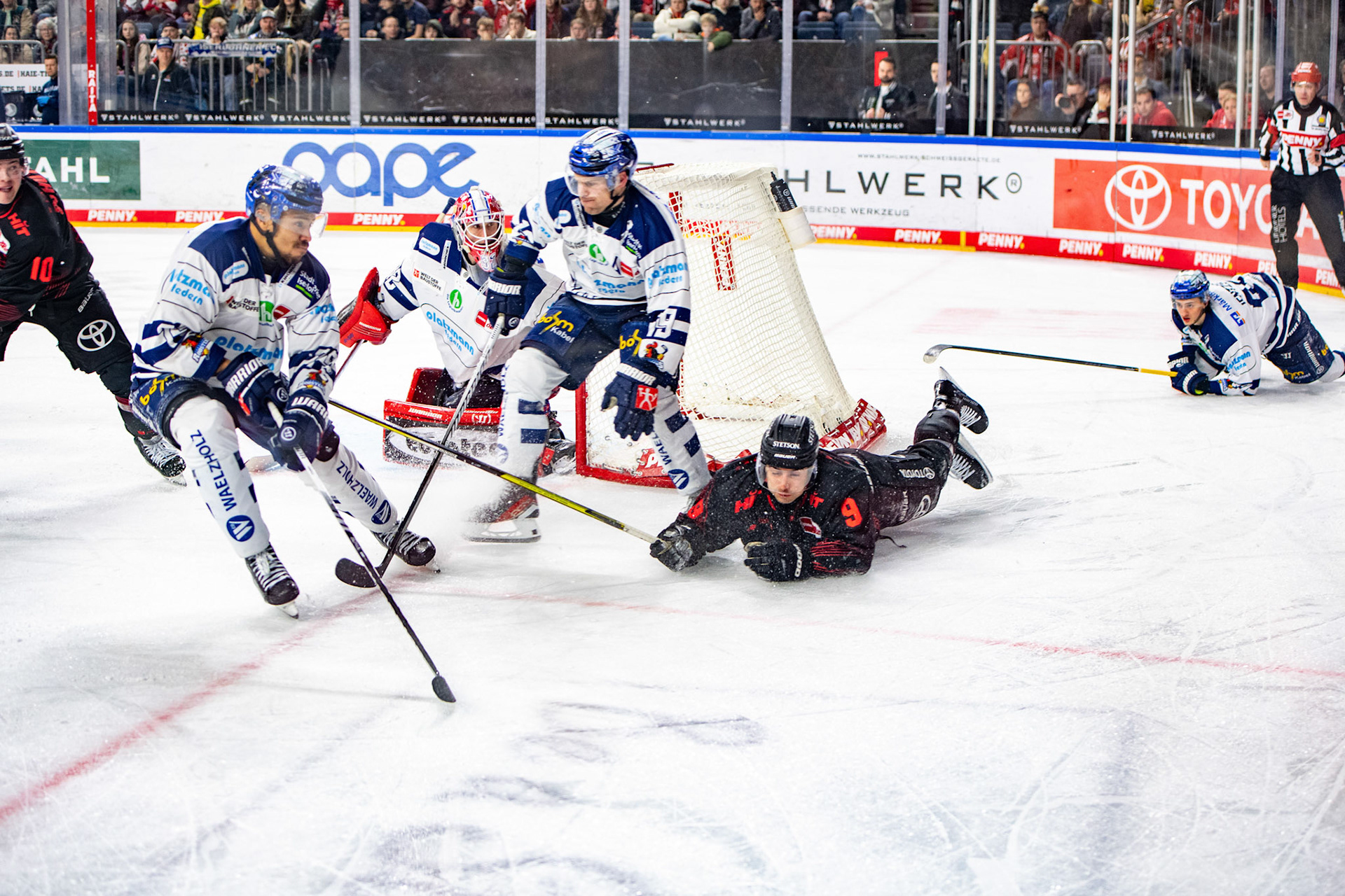 Maximilian Kammerer geht zu Boden; DEL Kölner Haie - Iserlohn Roosters, 13.02.2024