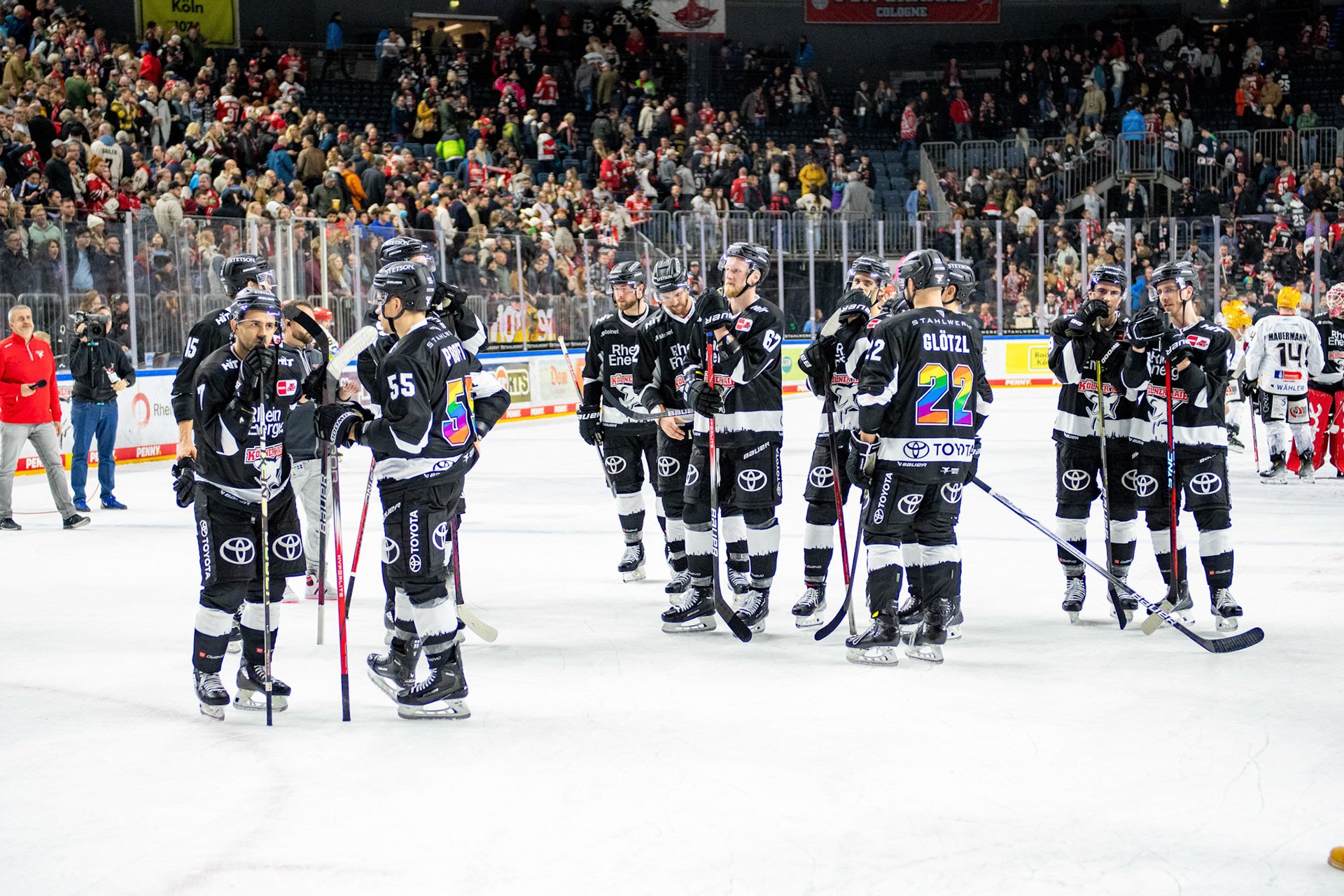 Koelner Haie; DEL Kölner Haie - Bremerhaven Fischtown Pinguins, 01.11.2023