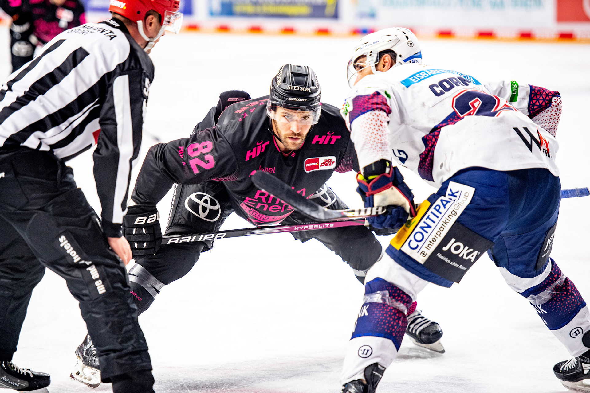 Alexandre Grenter; DEL Kölner Haie - Eisbaeren Berlin, 06.10.2023