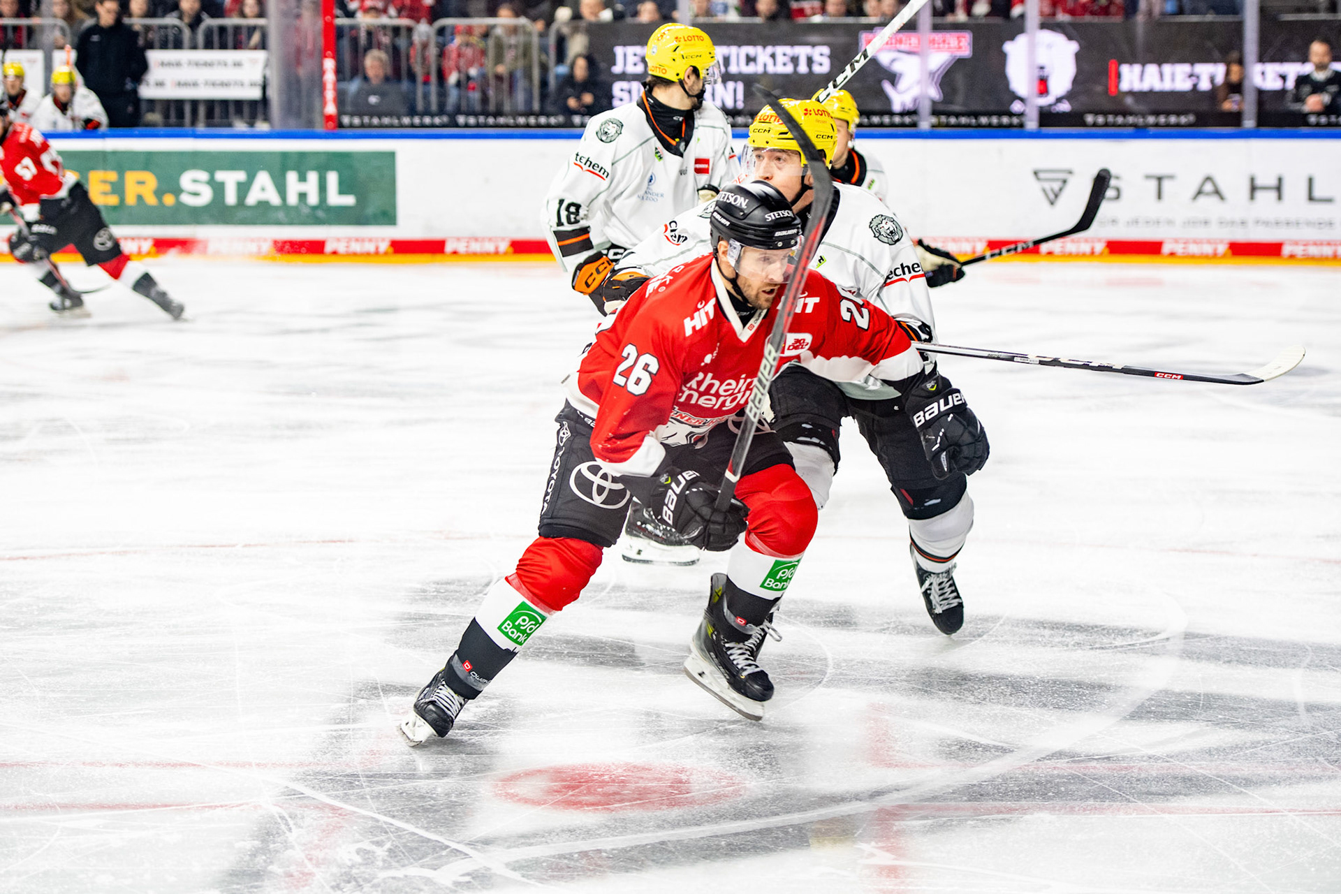 David Mcintyre; DEL Kölner Haie - Frankfurter Löwen, 16.02.2024