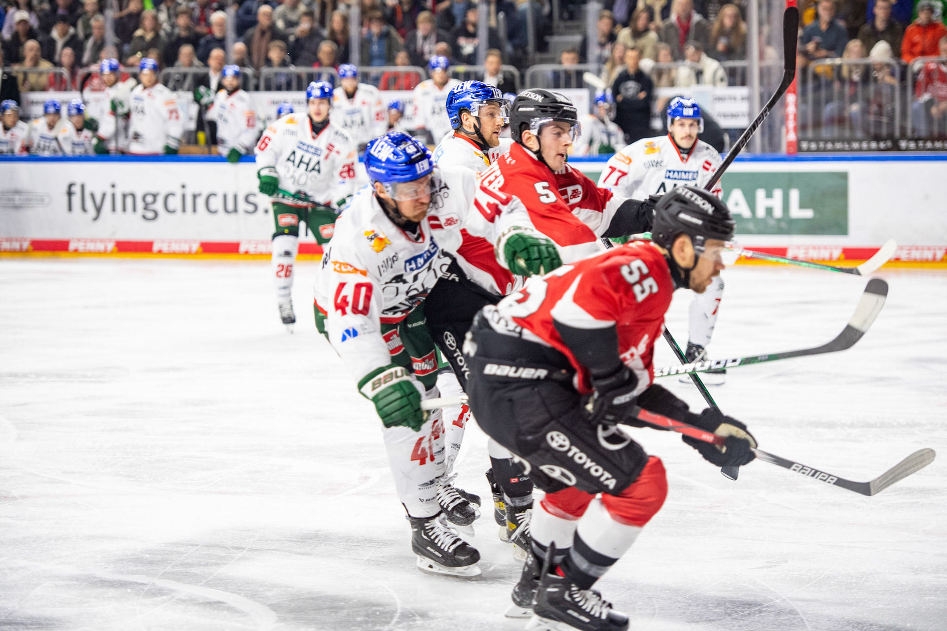 Robin van Calster; DEL Kölner Haie - Augsburger Panther, 19.11.2023