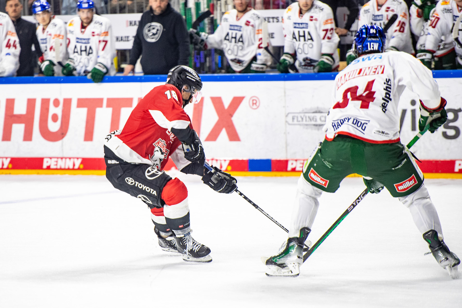 Frederik Storm; DEL Kölner Haie - Augsburger Panther, 03.10.2023