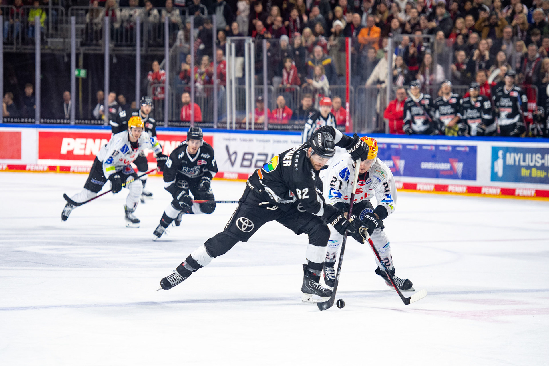 Alexandre Grenter; DEL Kölner Haie - Bremerhaven Fischtown Pinguins, 01.11.2023