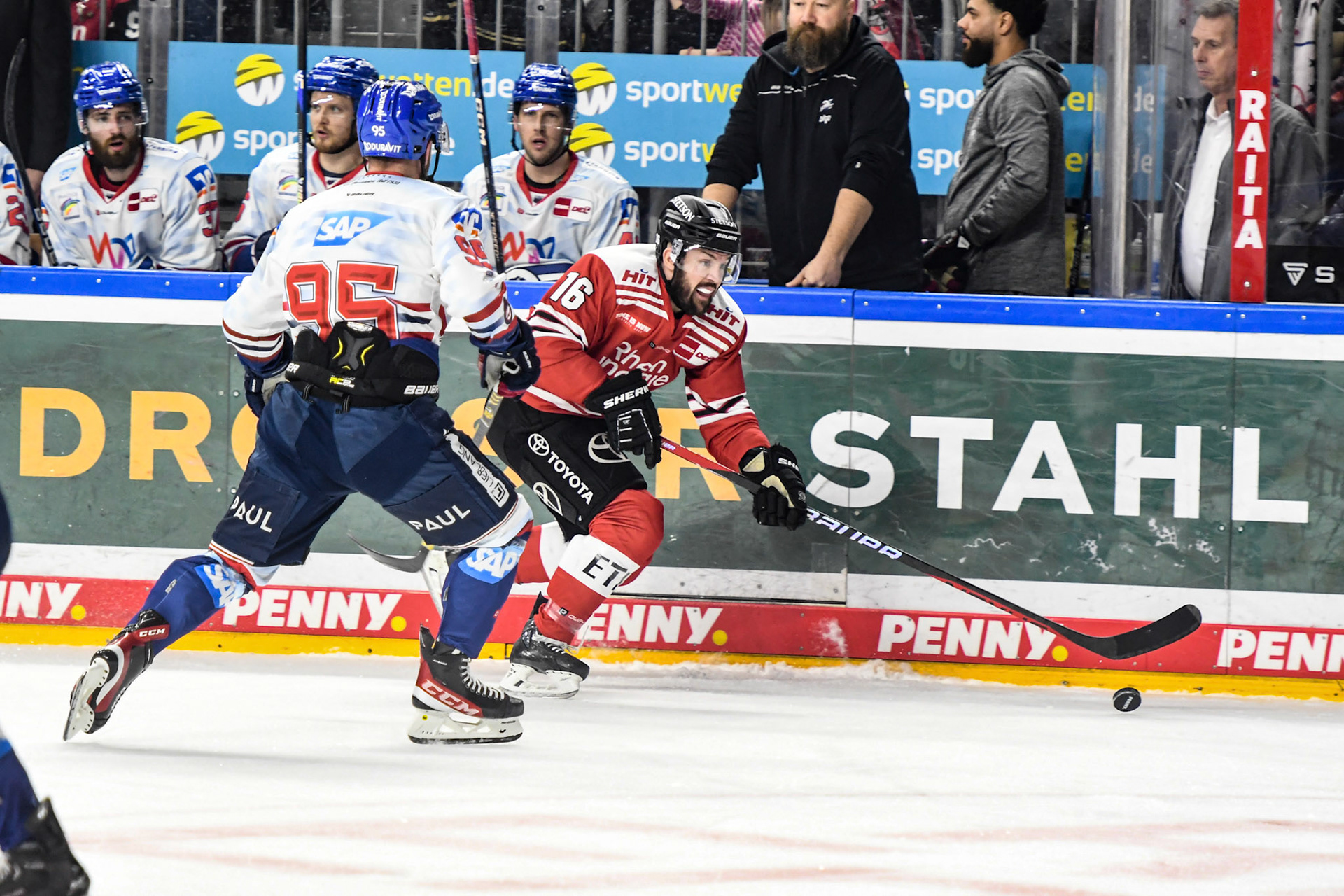 Maximilian Kammerer; DEL Kölner Haie - Adler Mannheim, 17.03.2023