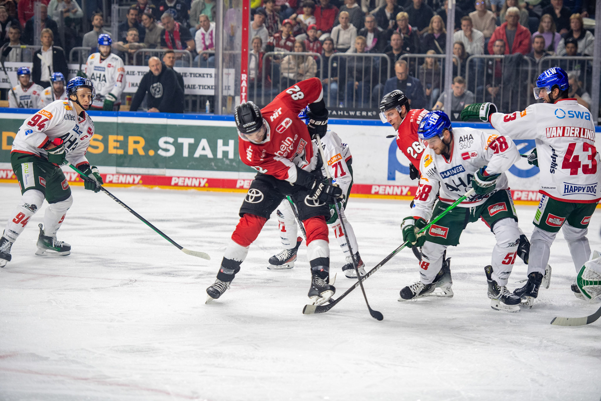 Alexandre Grenter ; DEL Kölner Haie - Augsburger Panther, 03.10.2023