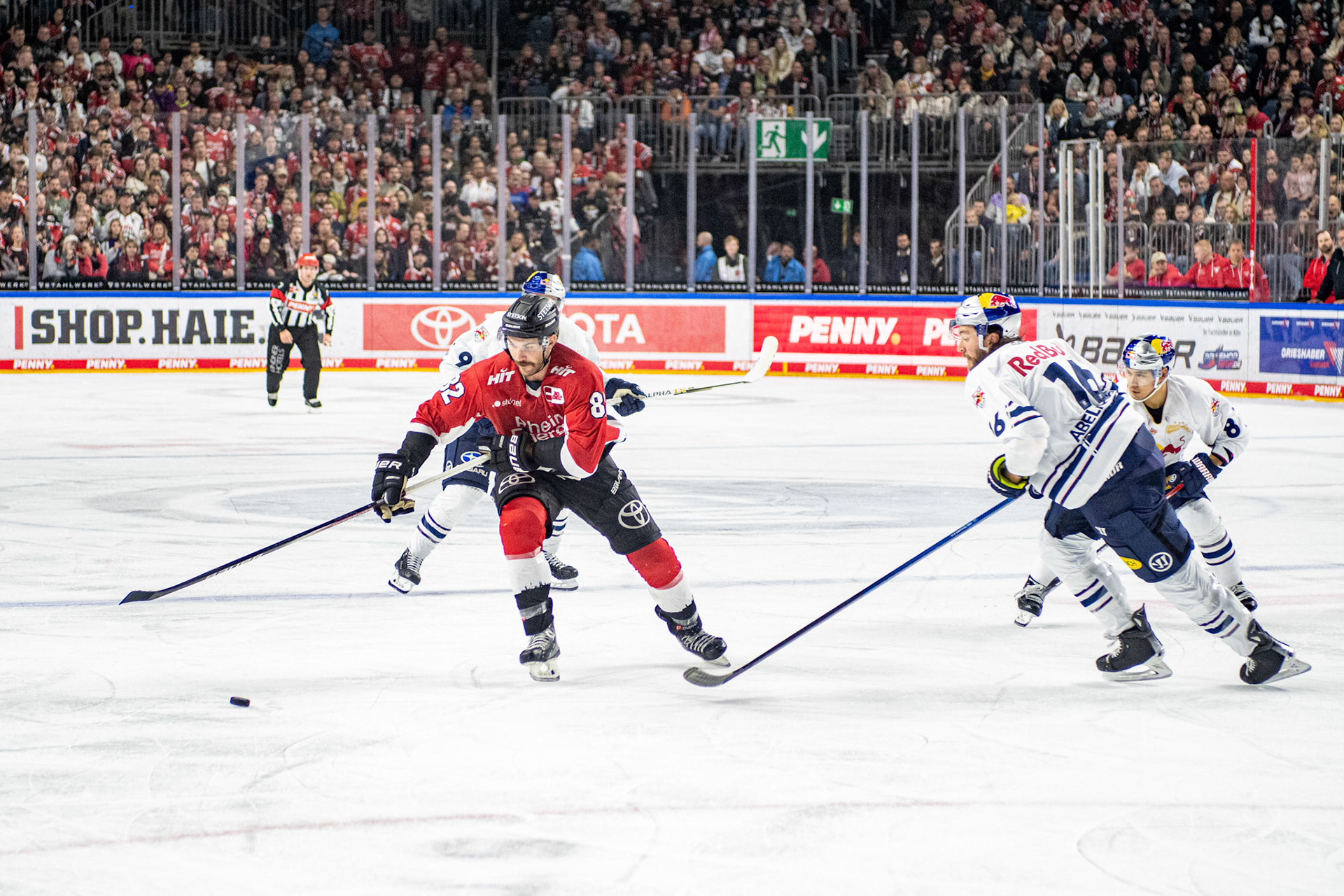 Alexandre Grenter; DEL Kölner Haie - EHC Red Bull München, 27.10.2023