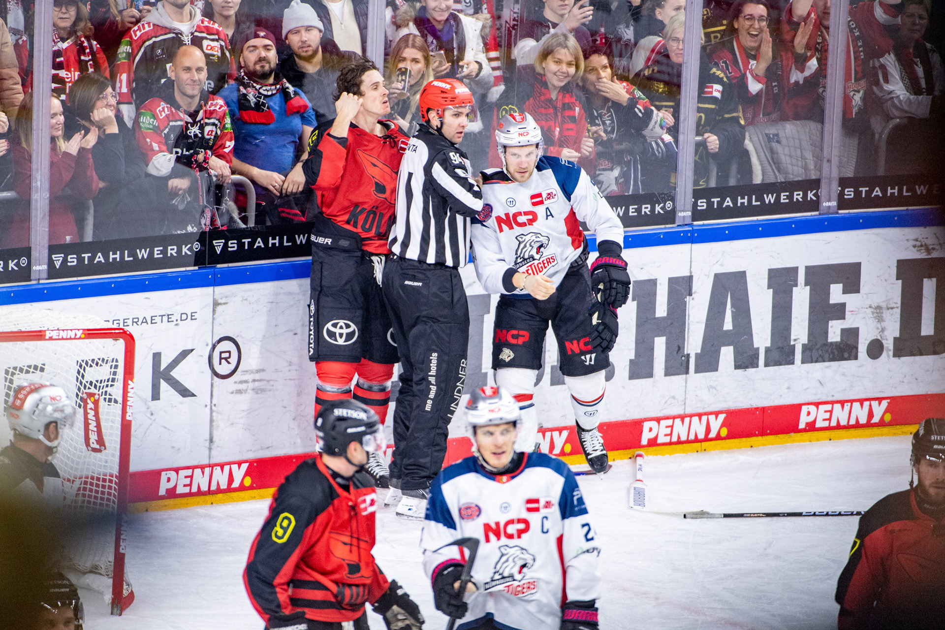 Koelner Haie eine Meinungsverschiedenheit; DEL Kölner Haie - Nürnberg Ice Tigers, 17.12.2023