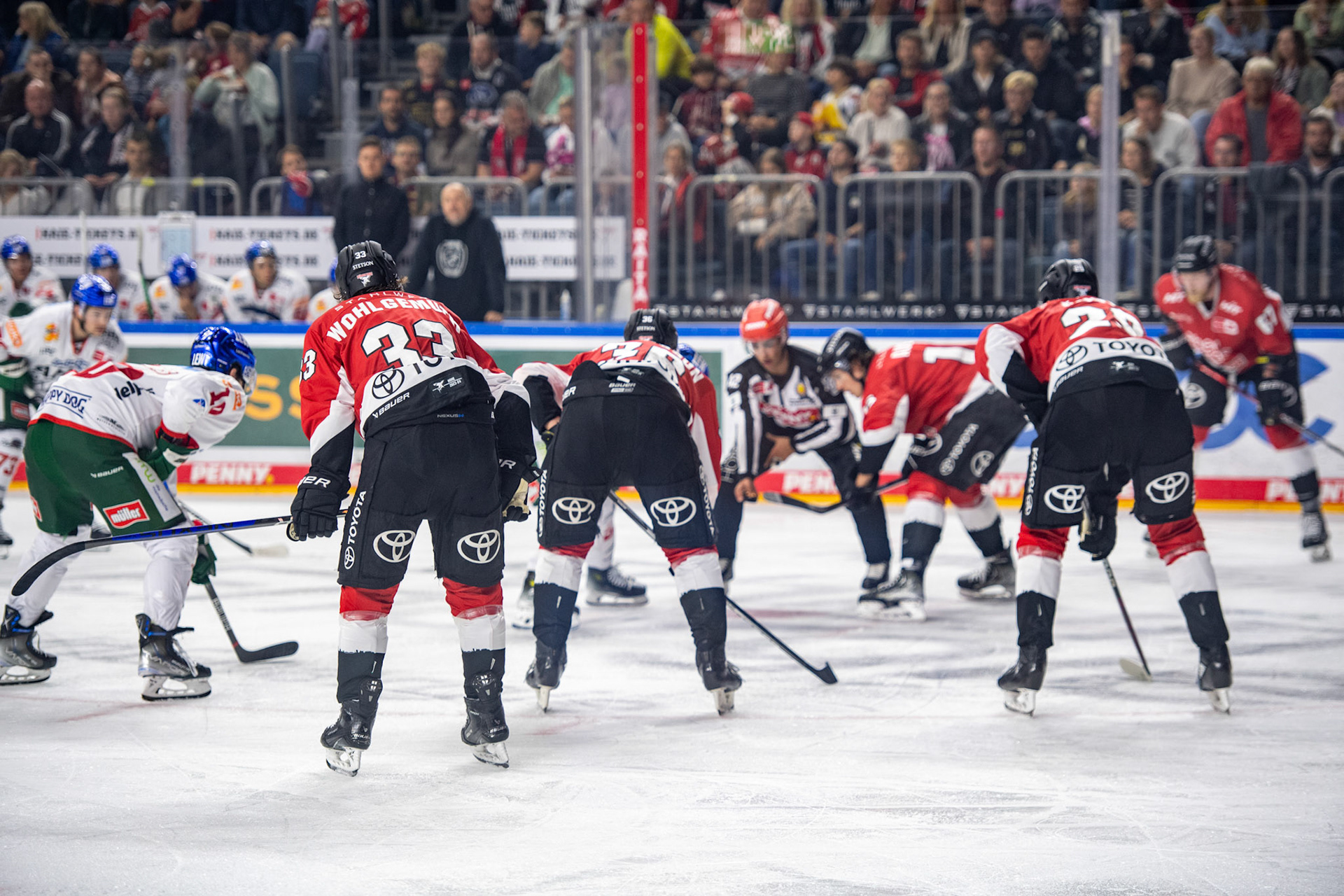 Koelner Haie; DEL Kölner Haie - Augsburger Panther, 03.10.2023