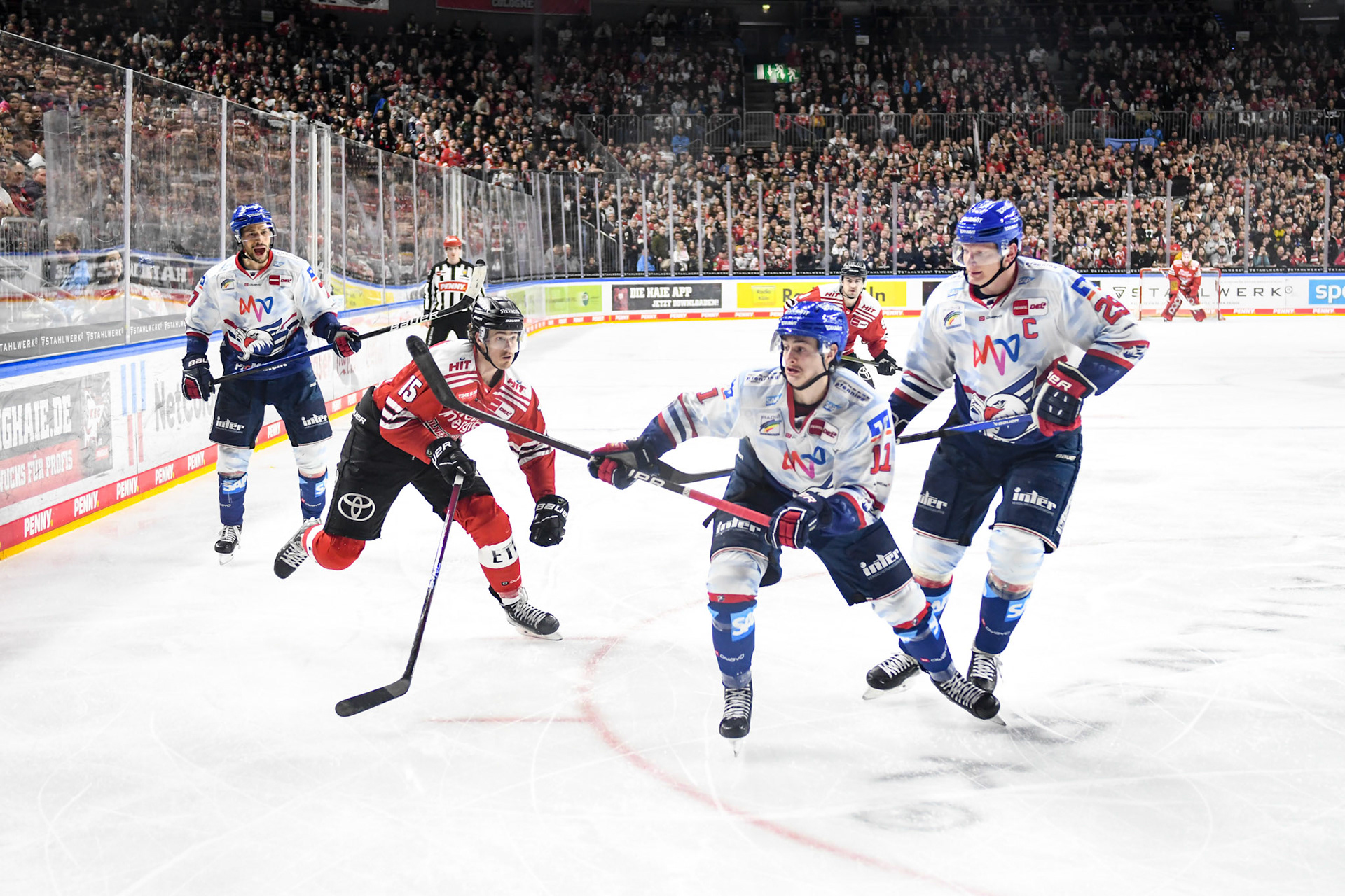 Taro Jentzsch; DEL Kölner Haie - Adler Mannheim, 17.03.2023