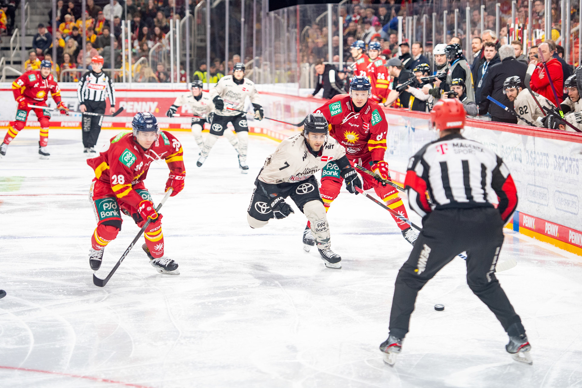 Nicholas Bailen im Zweikampf mit Alexander Ehl; DEL Düsseldorfer EG - Kölner Haie, 25.02.2024