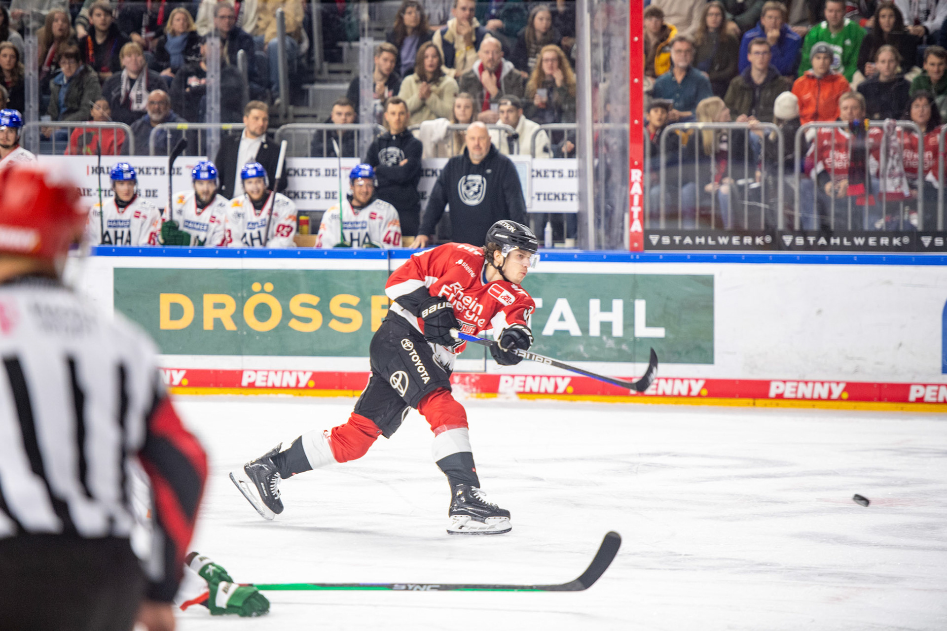 Tim Wohlgemuth; DEL Kölner Haie - Augsburger Panther, 19.11.2023