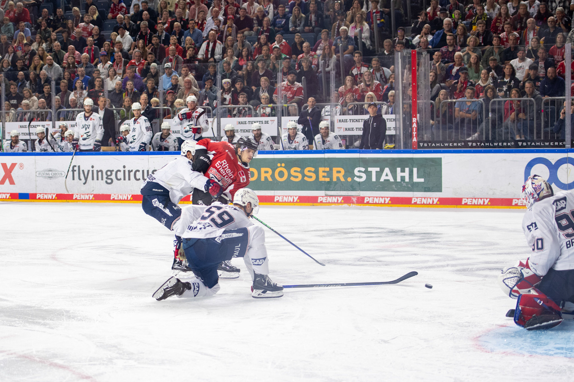 Paul Mayer; DEL Kölner Haie - Adler Mannheim, 30.09.2023