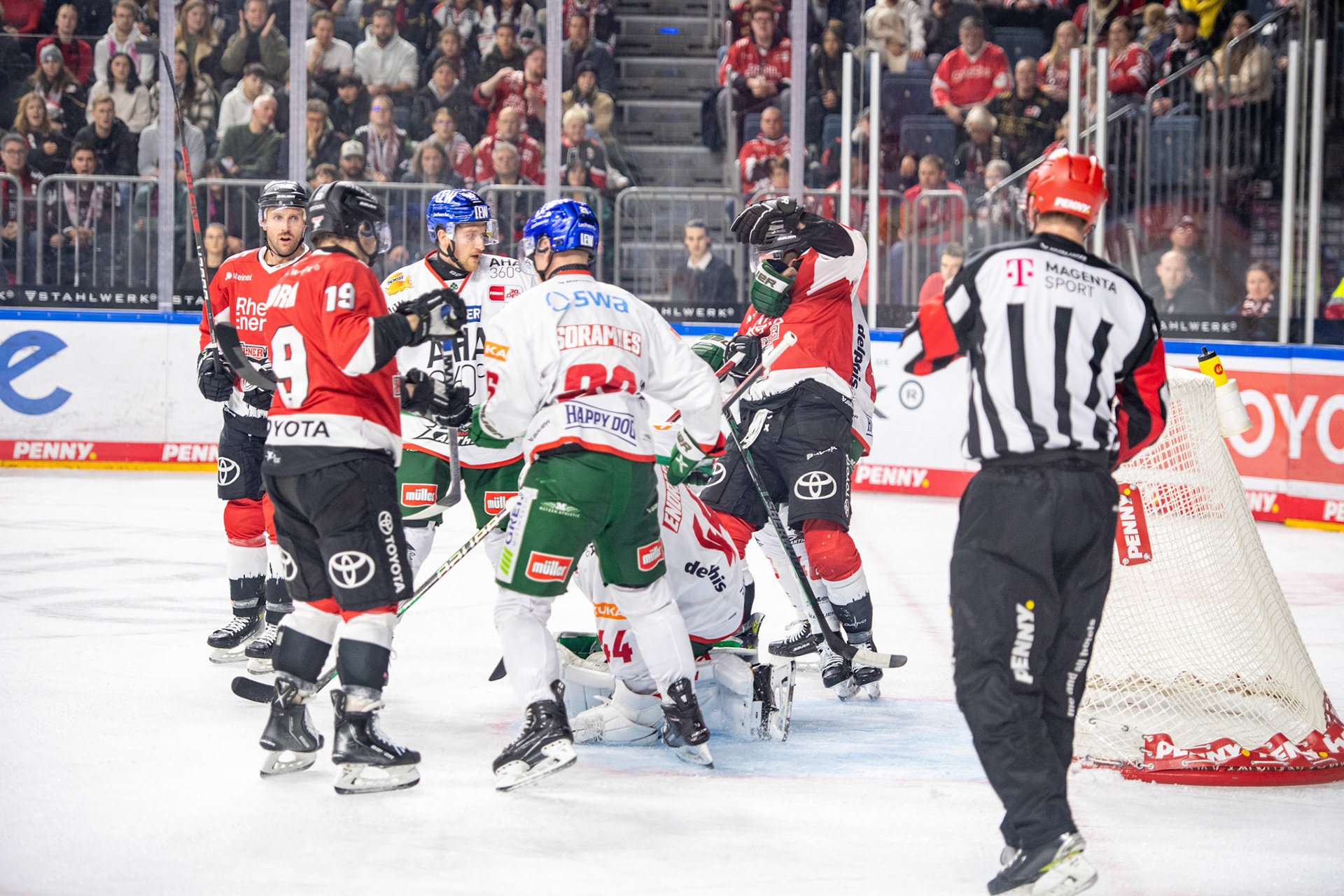 Koelner Haie; DEL Kölner Haie - Augsburger Panther, 19.11.2023