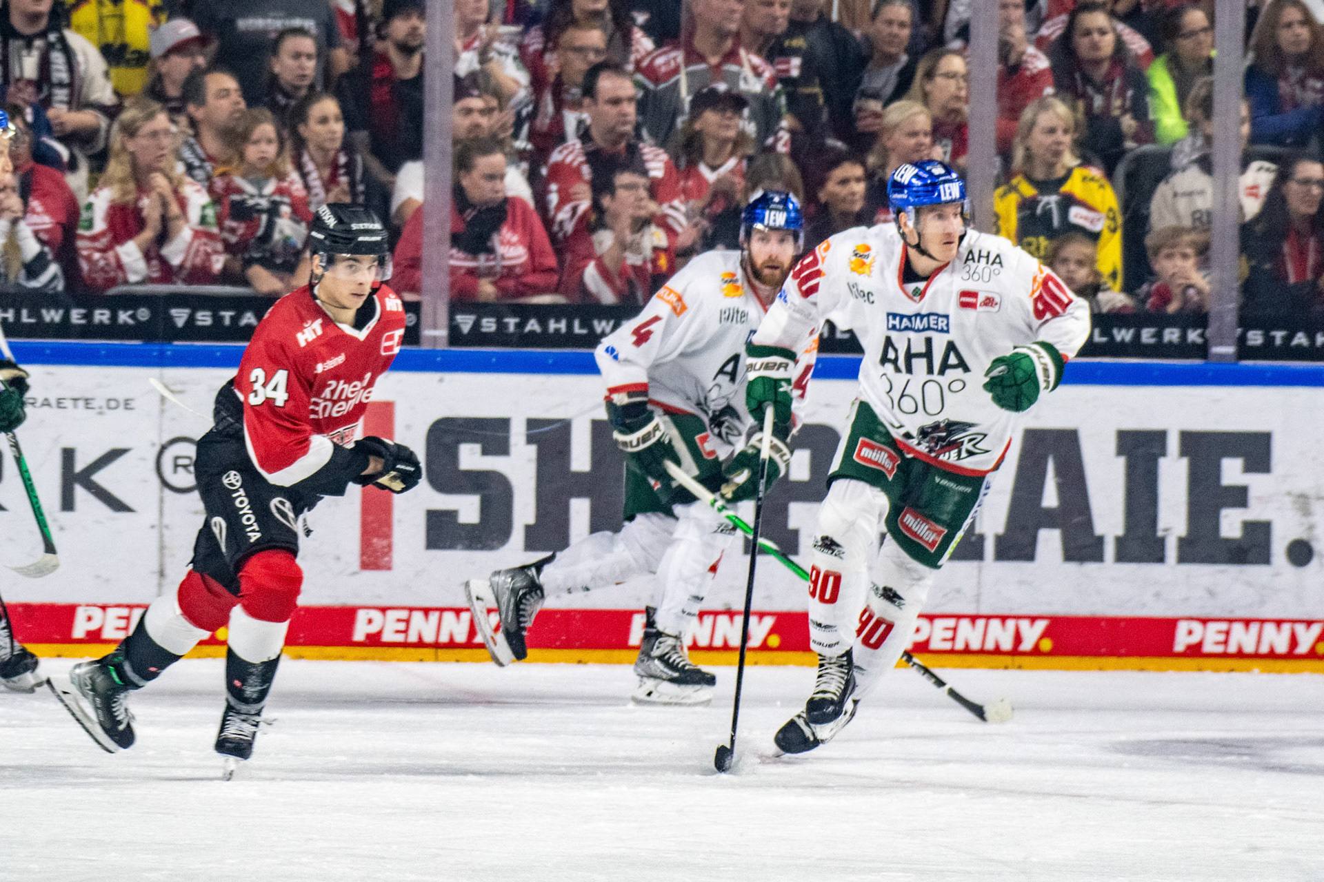 Jerome Flaake; DEL Kölner Haie - Augsburger Panther, 03.10.2023