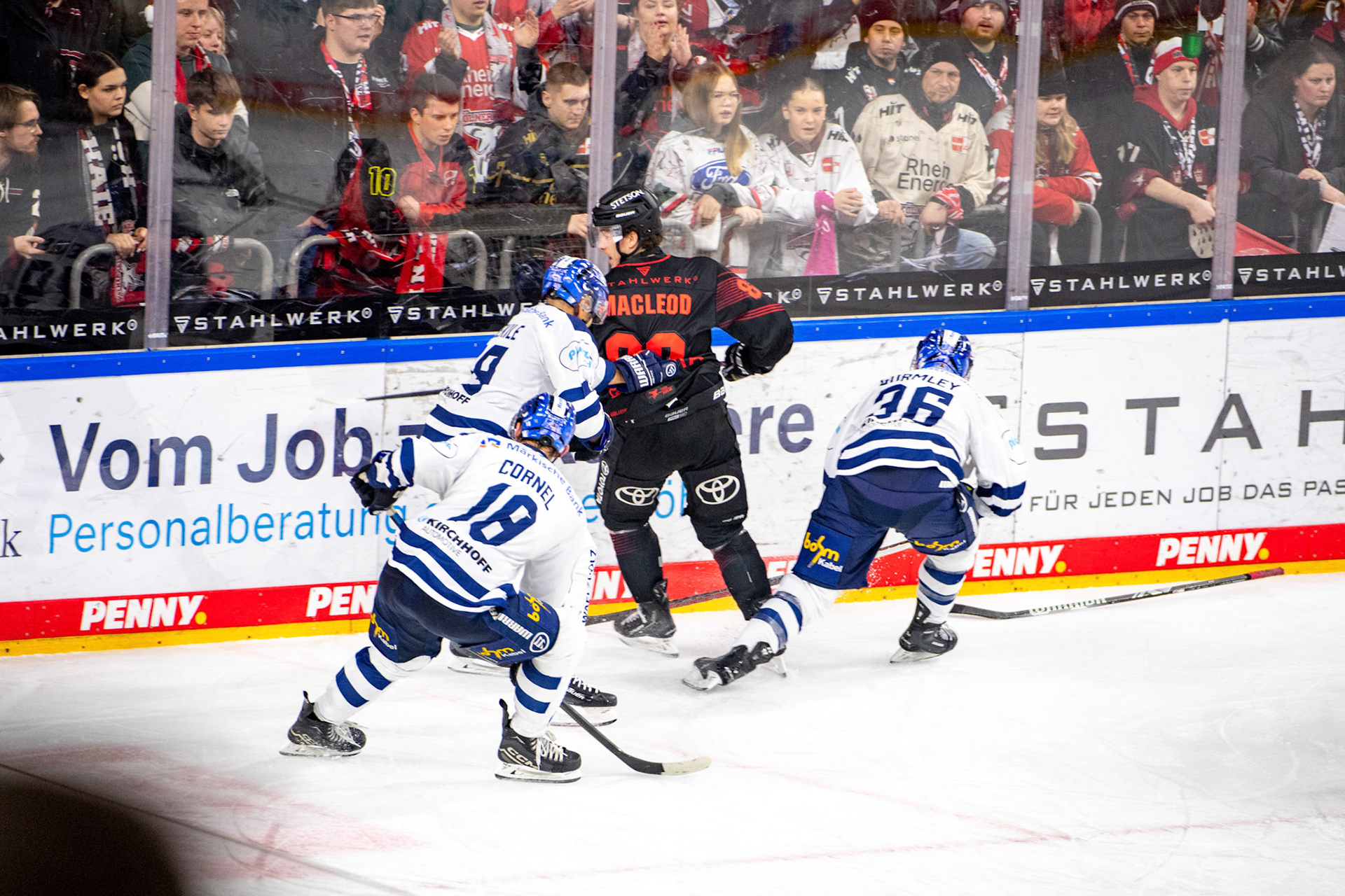 Gregor Macleod im Zweikampf mit Eric Cornel, Colin Ugbekile und Brandon Gormley; DEL Kölner Haie - Iserlohn Roosters, 02.01.2024