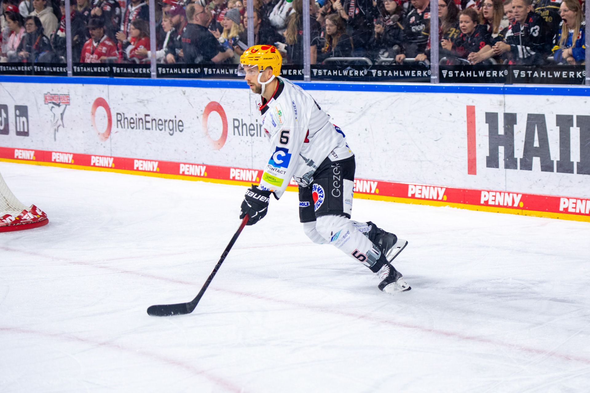 Anders Groenlund; DEL Kölner Haie - Bremerhaven Fischtown Pinguins, 01.11.2023