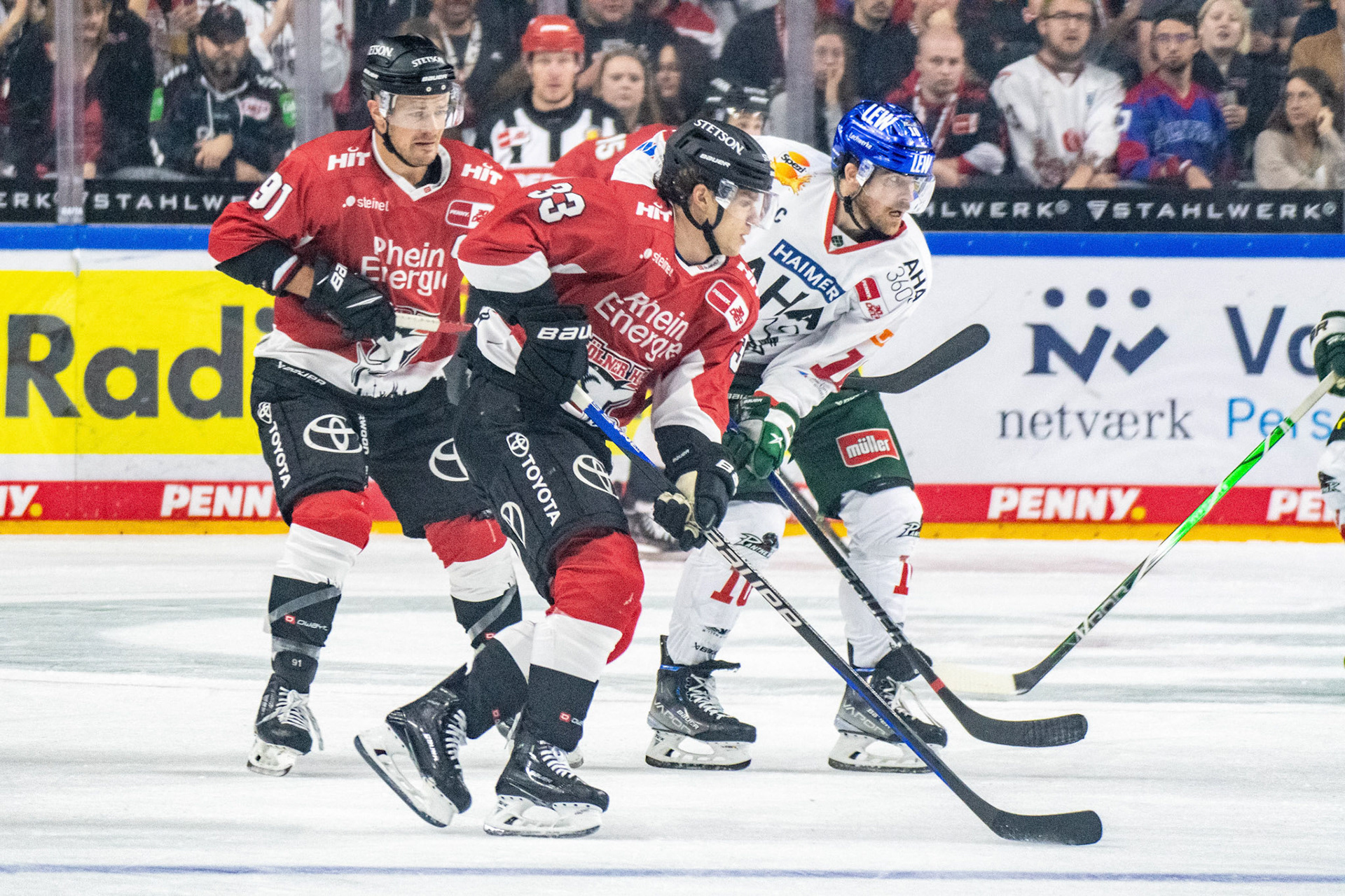 Tim Wohlgemuth; DEL Kölner Haie - Augsburger Panther, 03.10.2023