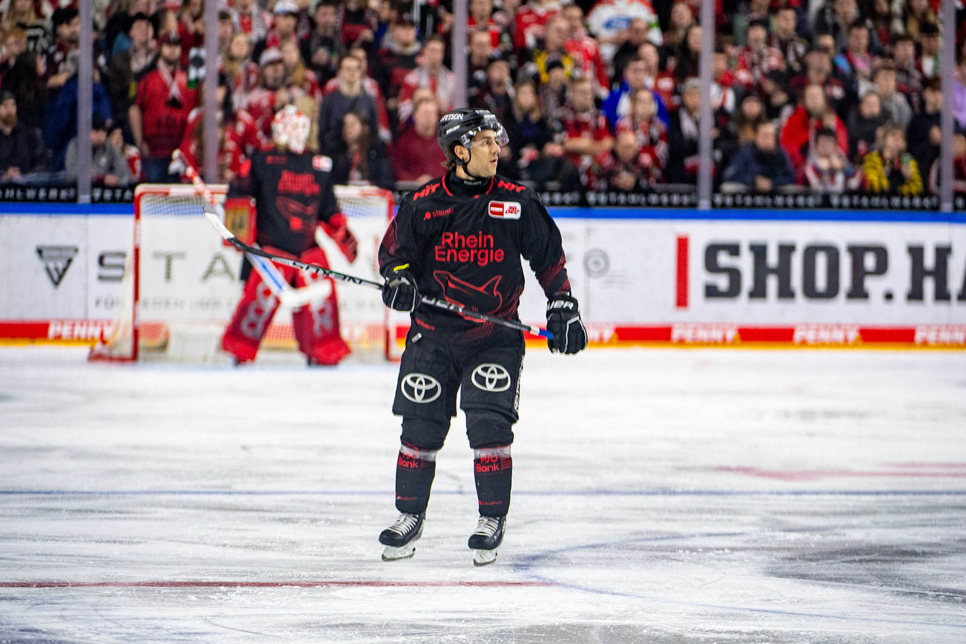 Nicholas Bailen; DEL Kölner Haie - Iserlohn Roosters, 13.02.2024