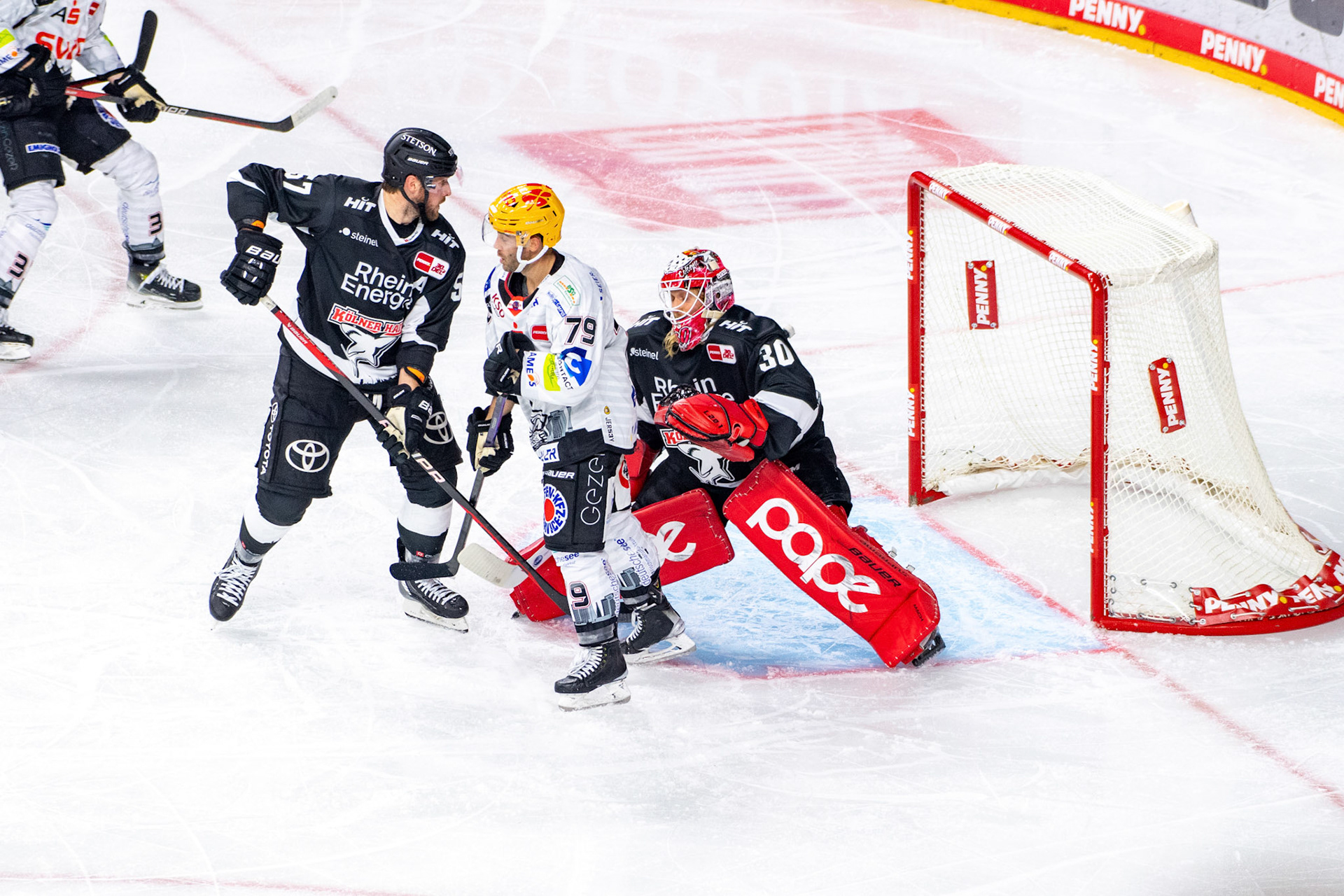 Colt Conrad; DEL Kölner Haie - Bremerhaven Fischtown Pinguins, 01.11.2023