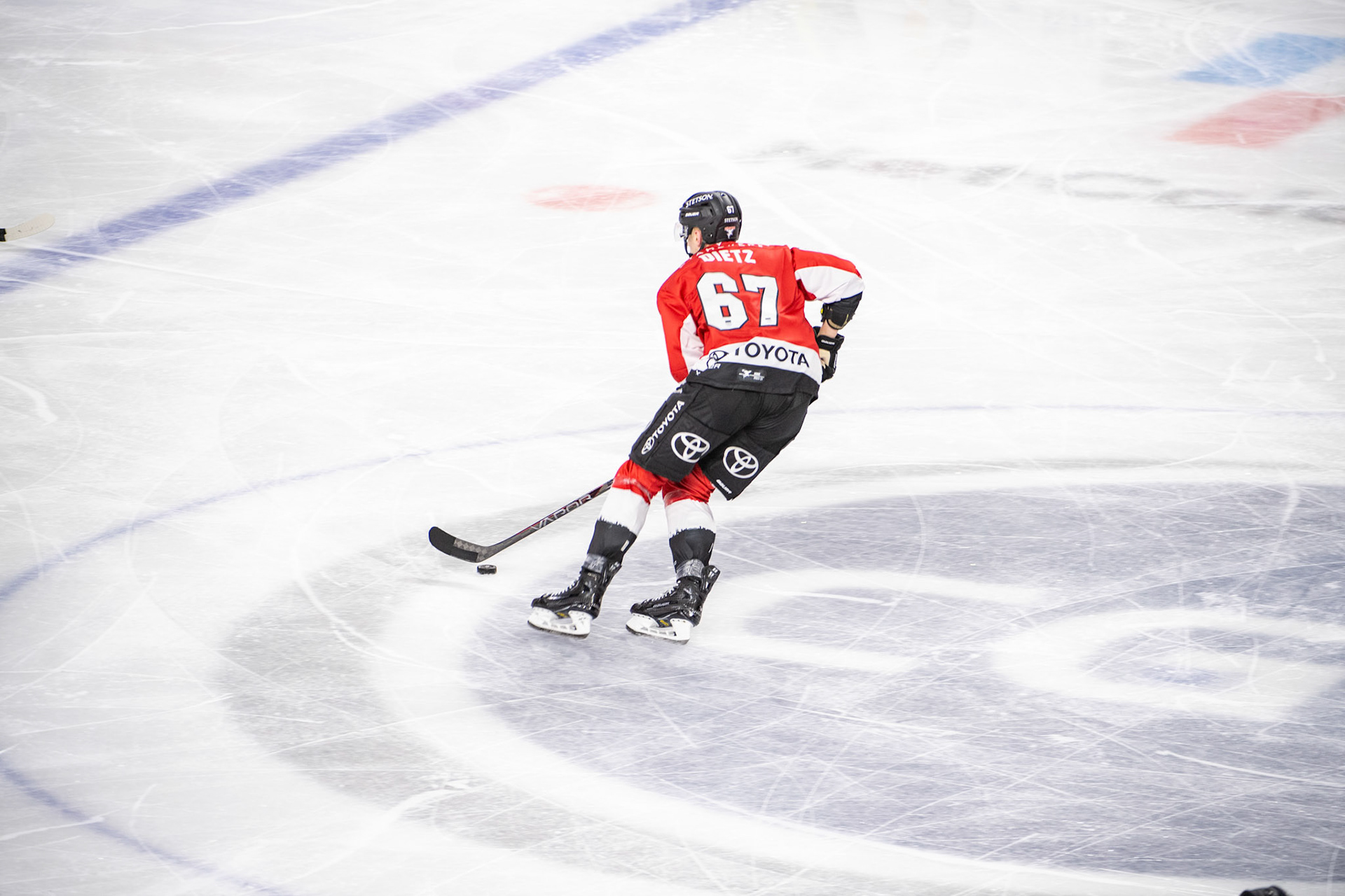 Stanislav Dietz; DEL Kölner Haie - Augsburger Panther, 19.11.2023