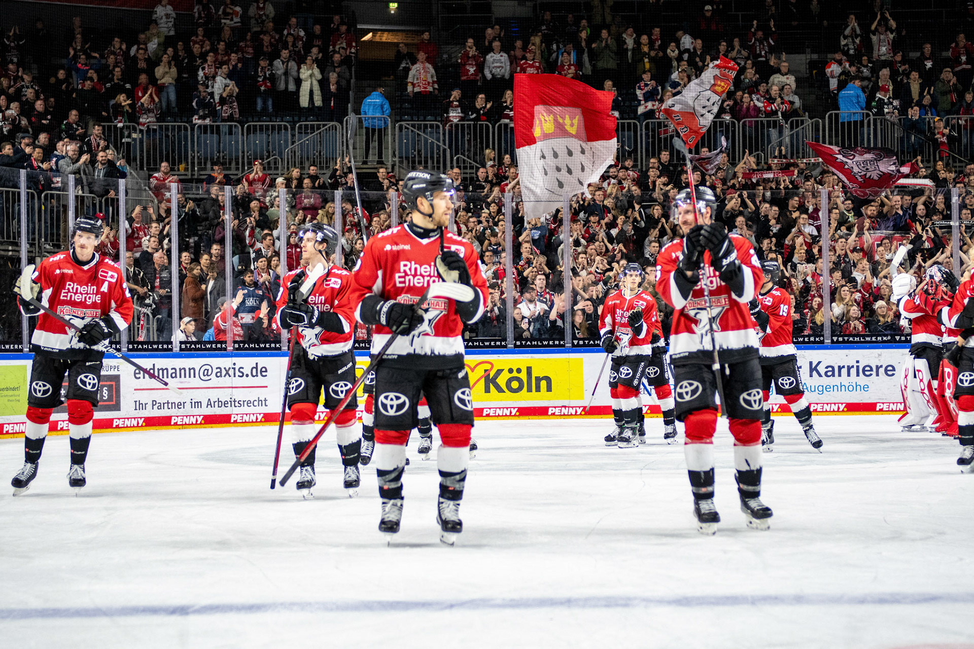 Koelner Haie; DEL Kölner Haie - Augsburger Panther, 19.11.2023