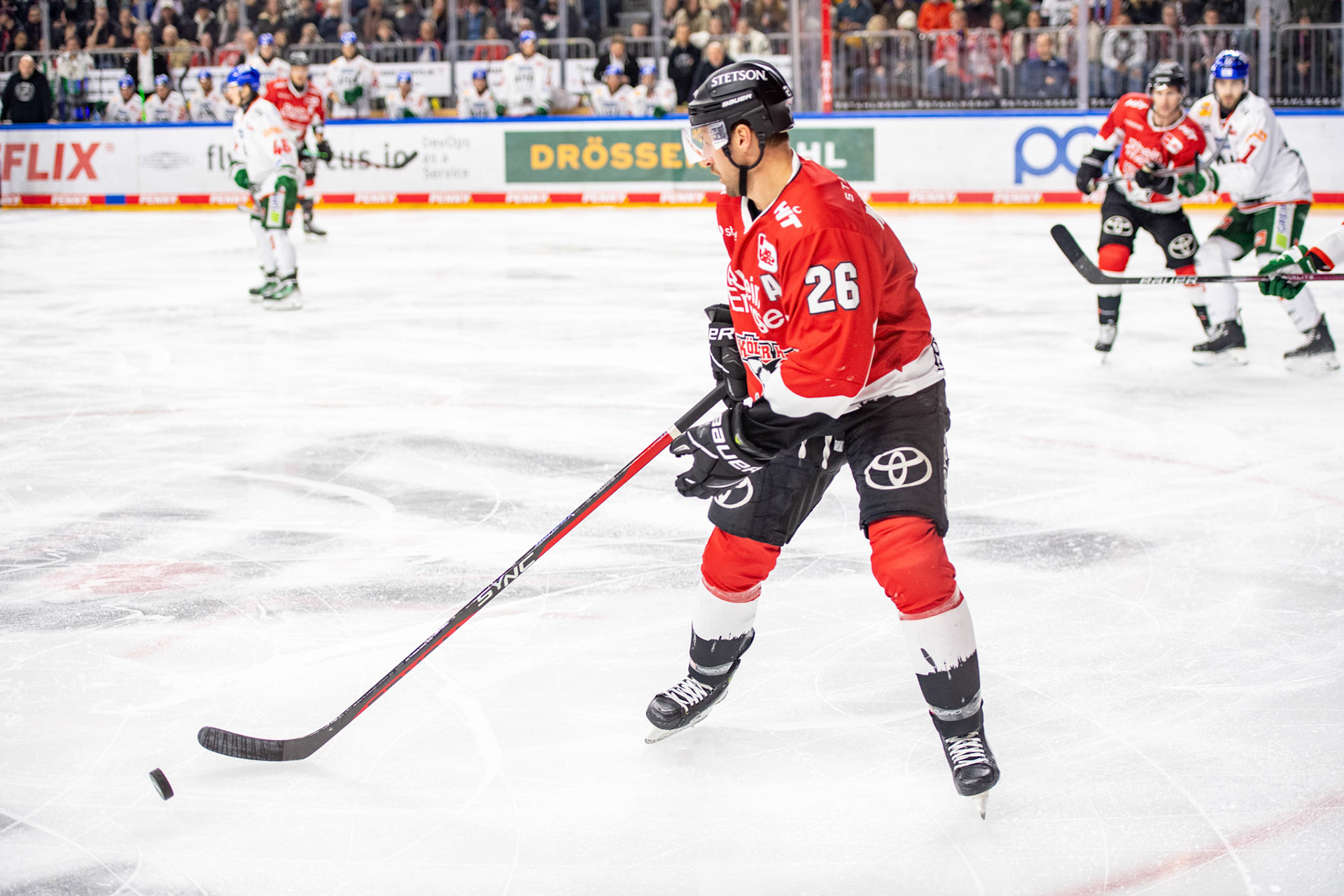 David Mcintyre; DEL Kölner Haie - Augsburger Panther, 19.11.2023