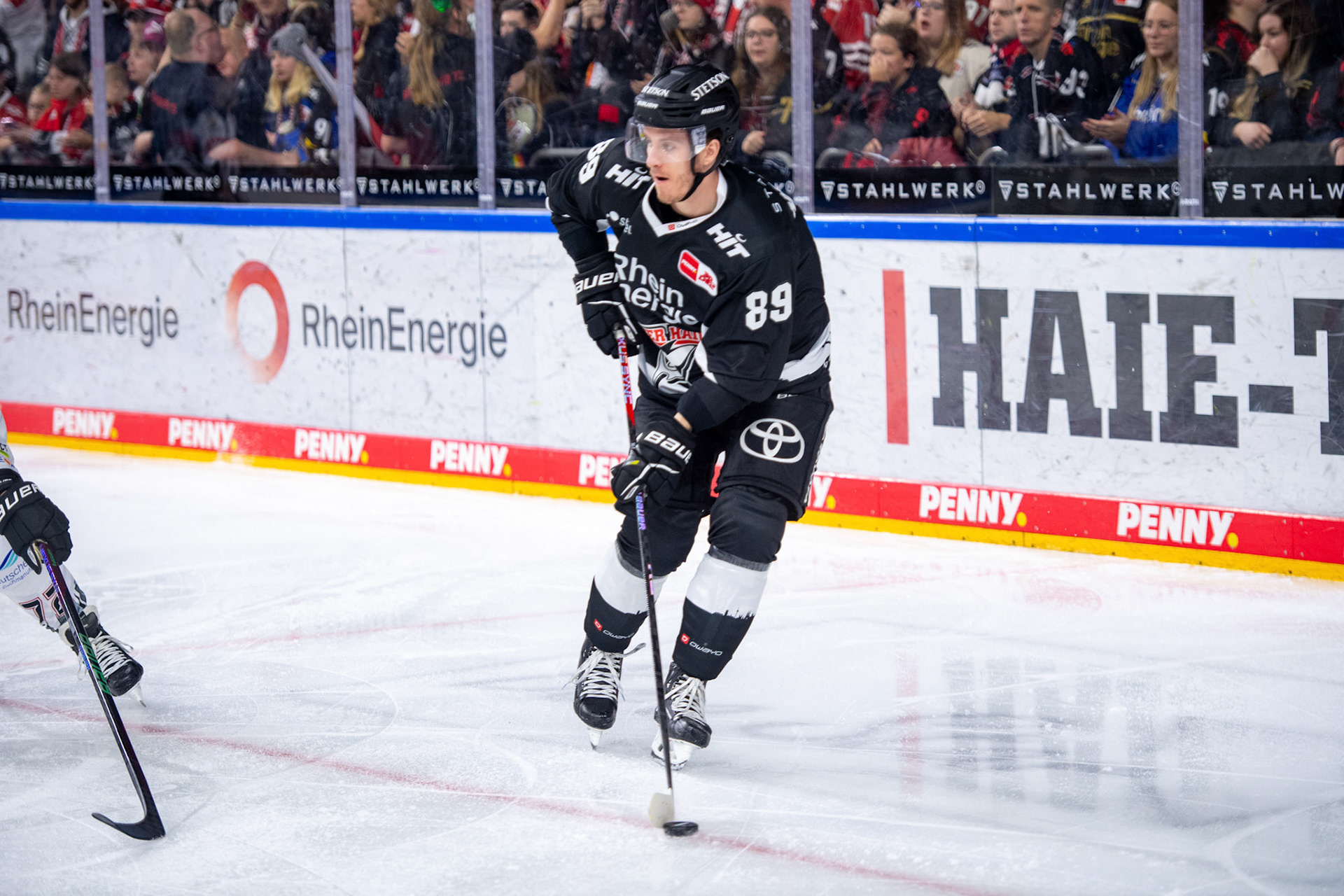 Gregor Macleod; DEL Kölner Haie - Bremerhaven Fischtown Pinguins, 01.11.2023