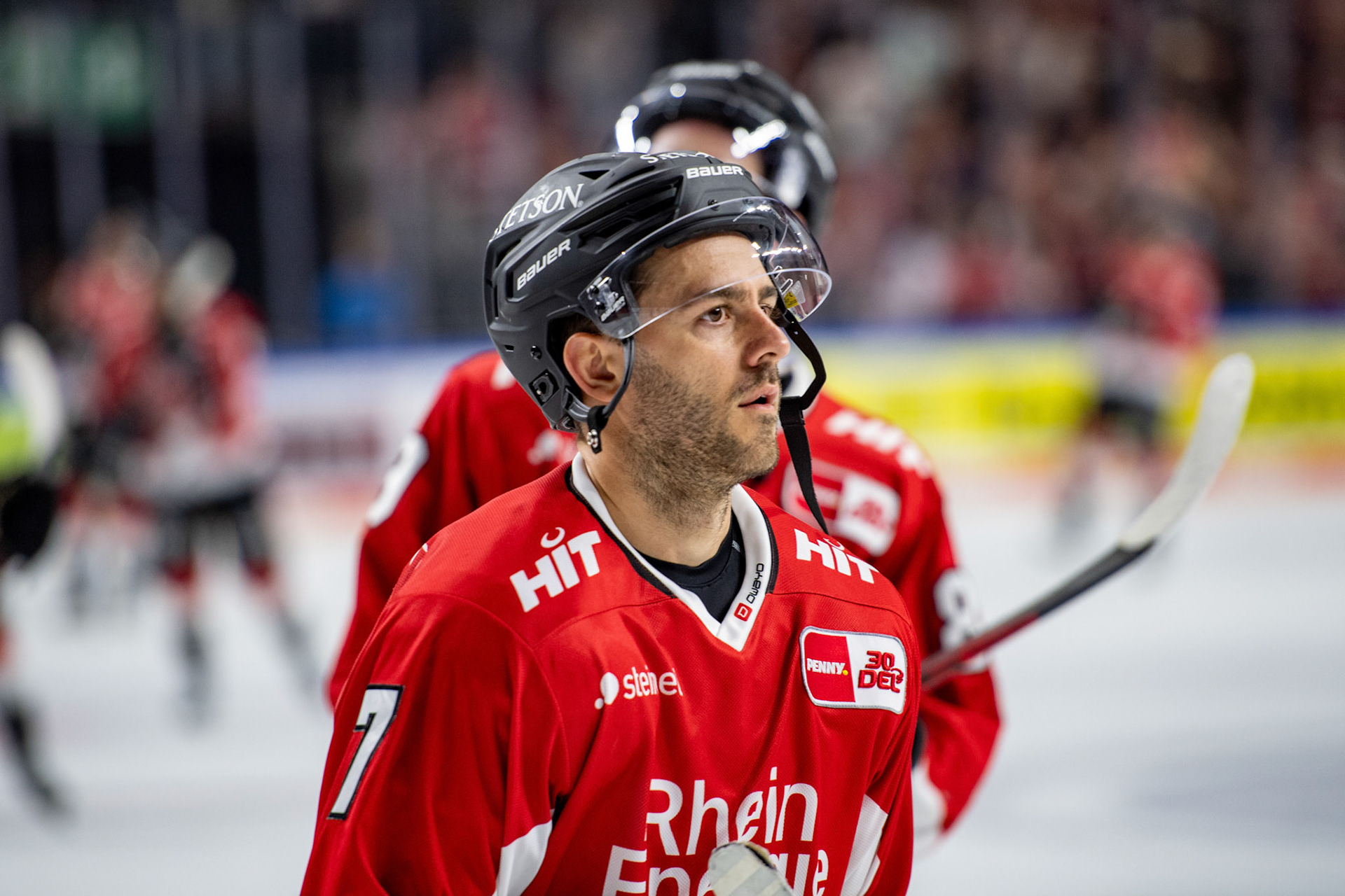 Nicholas Bailen; DEL Kölner Haie - Adler Mannheim, 30.09.2023