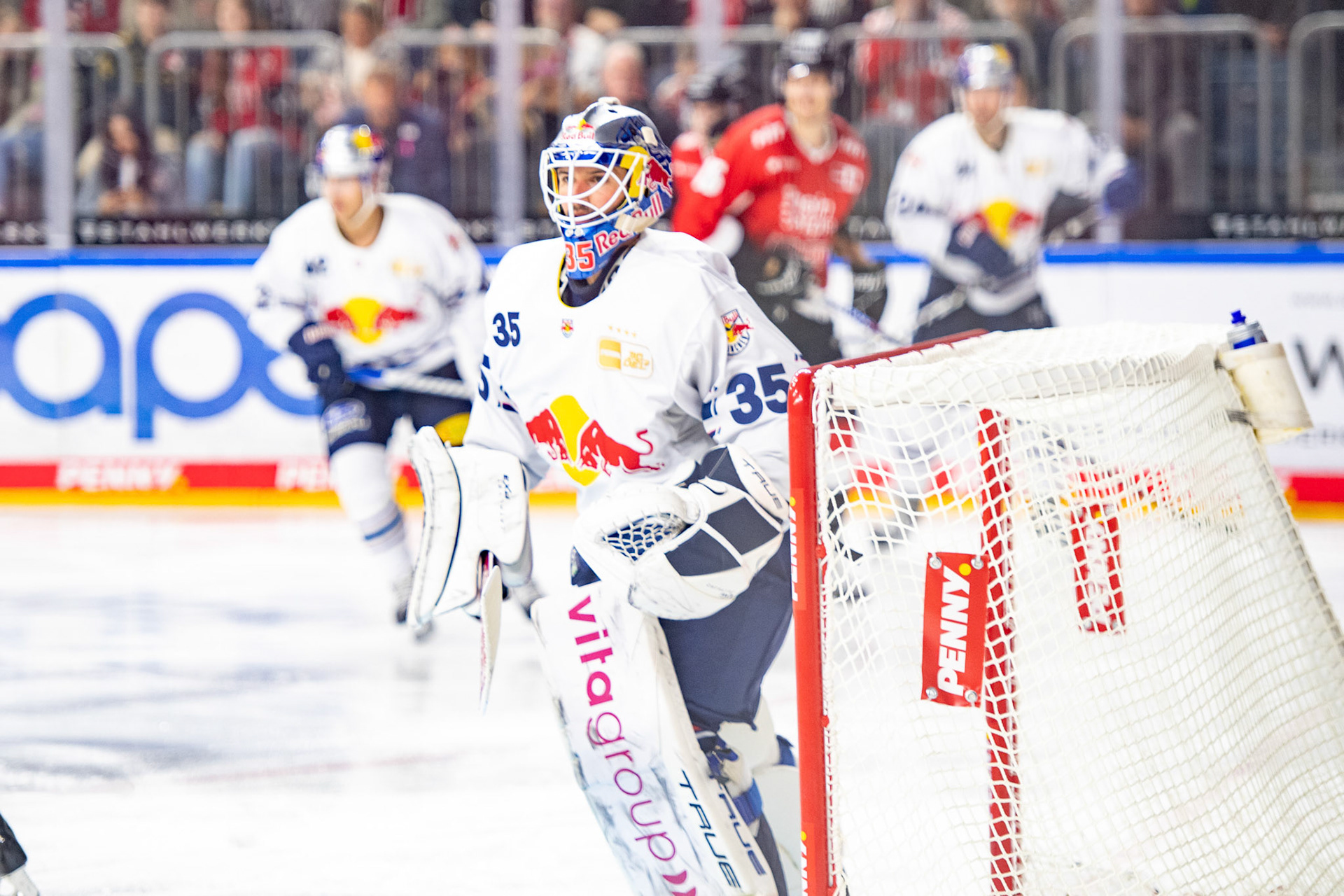 Mathias Niederberger; DEL Kölner Haie - EHC Red Bull München, 27.10.2023