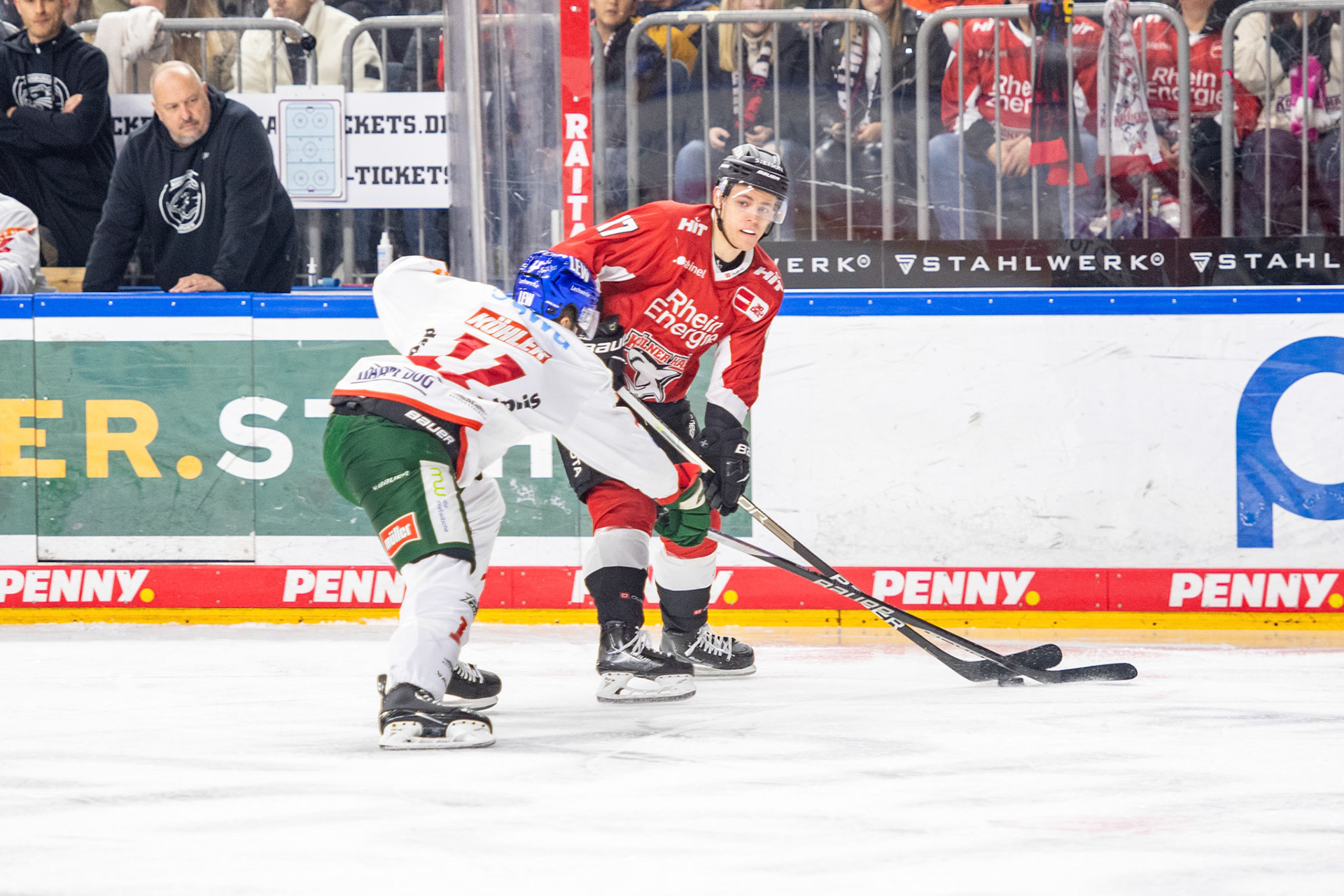 Jan Luca Sennhenn; DEL Kölner Haie - Augsburger Panther, 19.11.2023
