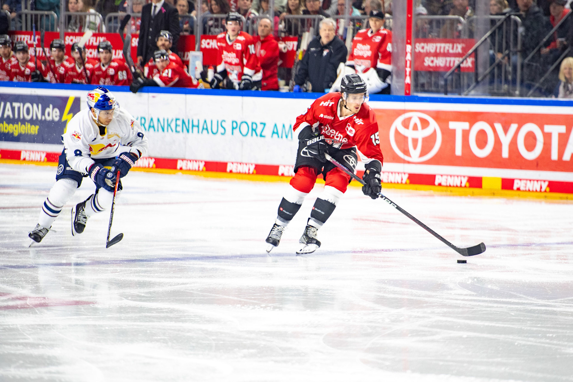 Louis Marc Aubry; DEL Kölner Haie - EHC Red Bull München, 27.10.2023