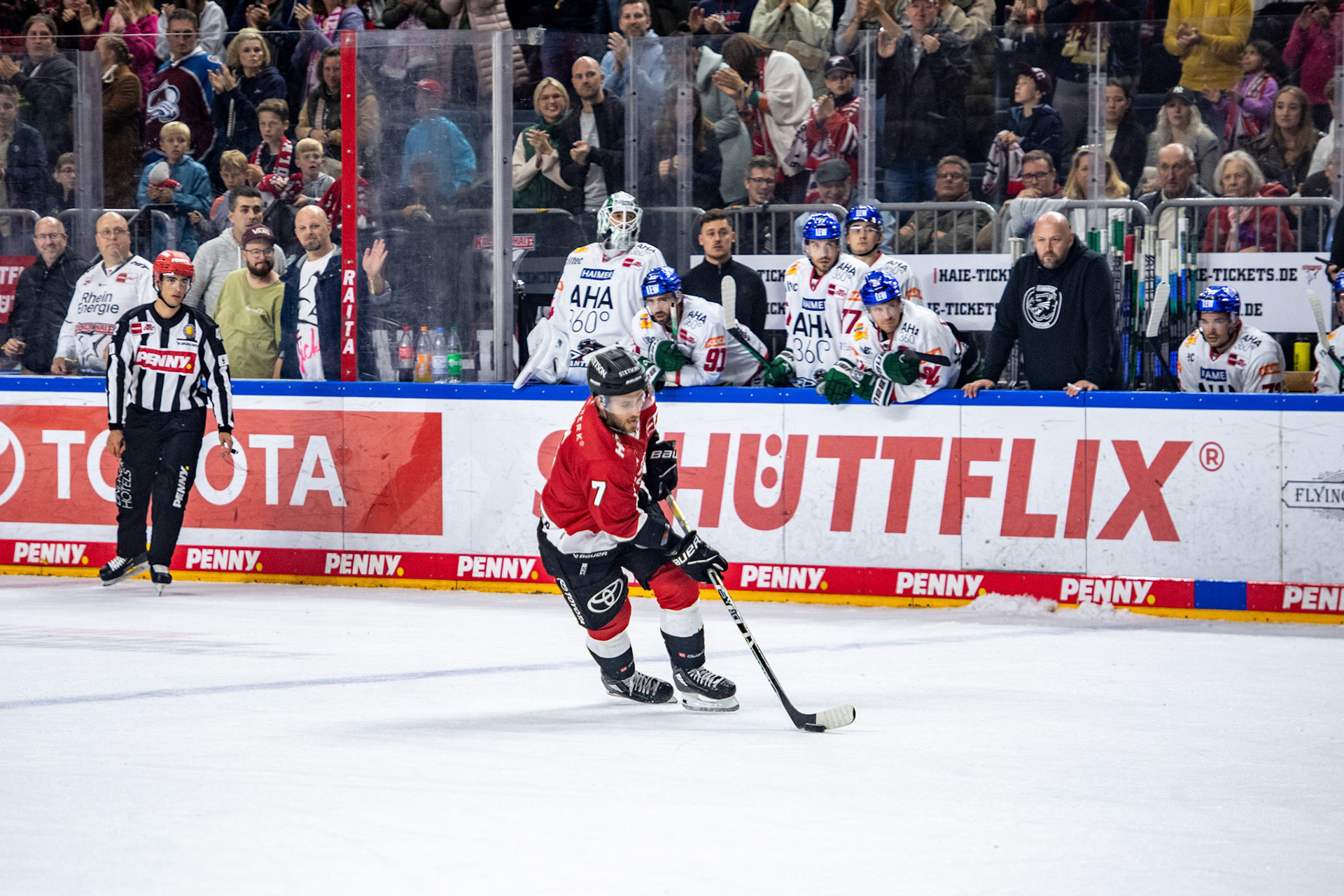 Nicholas Bailen; DEL Kölner Haie - Augsburger Panther, 03.10.2023