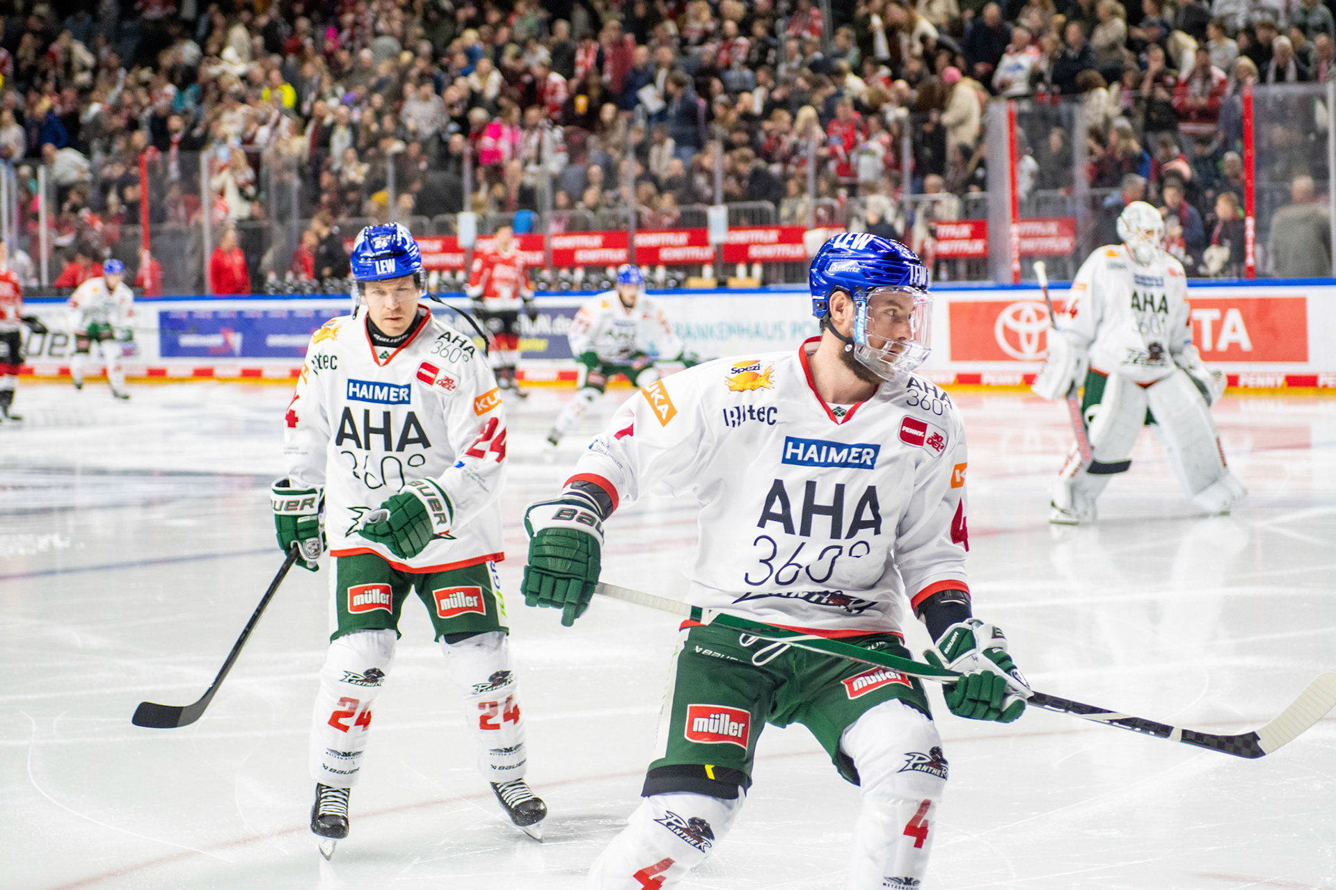Jordon Southorn; DEL Kölner Haie - Augsburger Panther, 19.11.2023