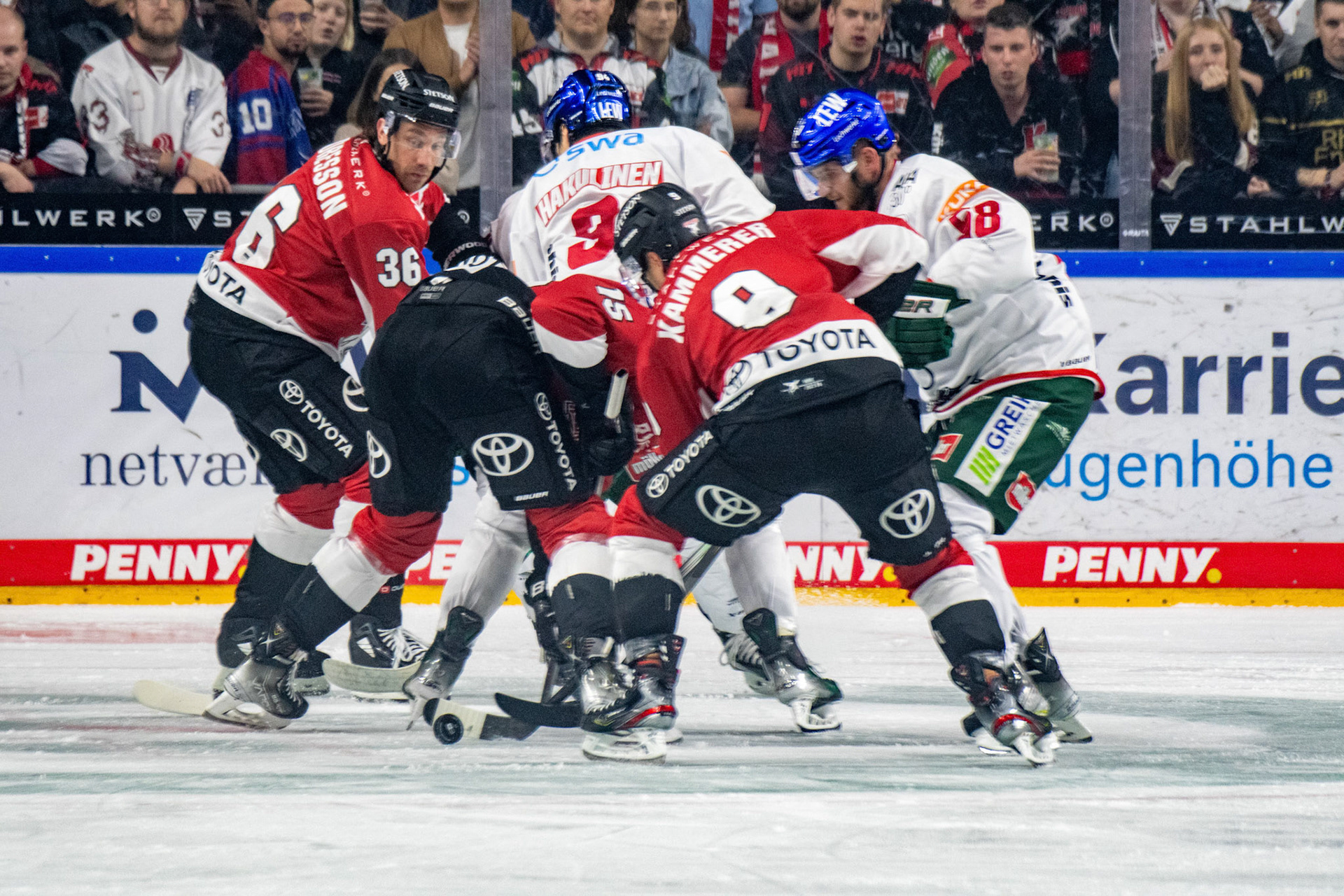 Maximilian Kammerer; DEL Kölner Haie - Augsburger Panther, 03.10.2023