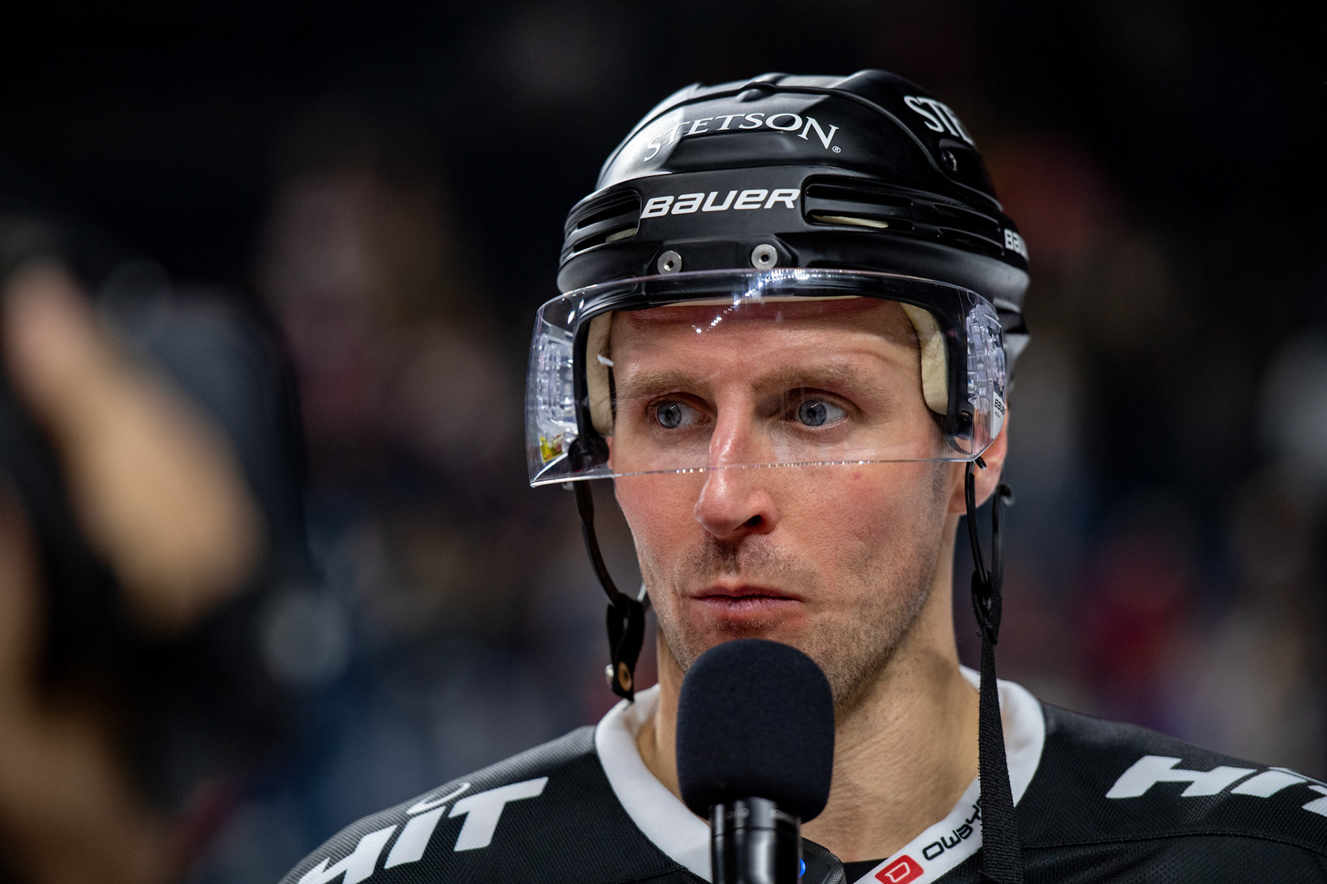 David Mcintyre; DEL Kölner Haie - Bremerhaven Fischtown Pinguins, 01.11.2023