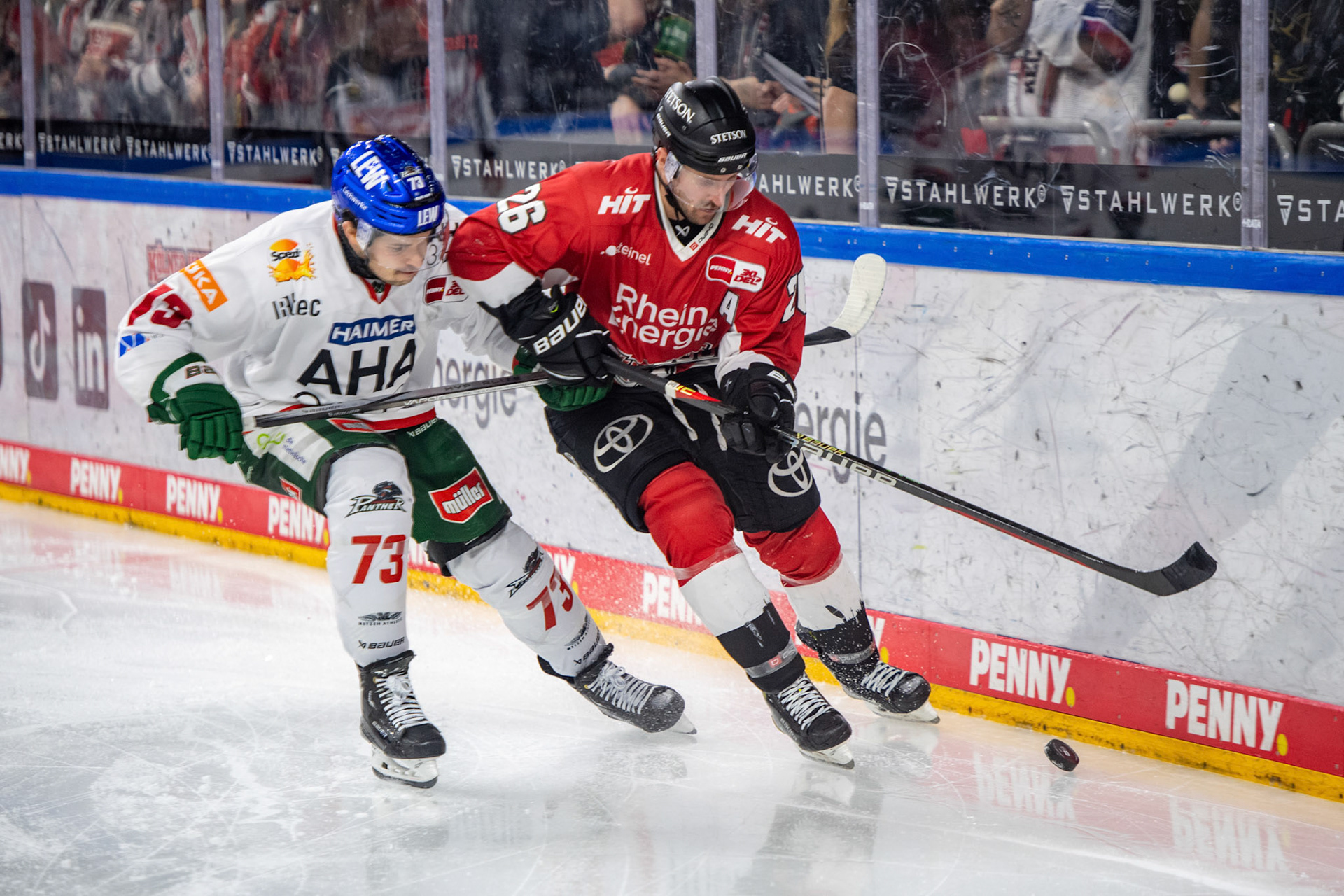 David Mcintyre im Zweikampf; DEL Kölner Haie - Augsburger Panther, 19.11.2023