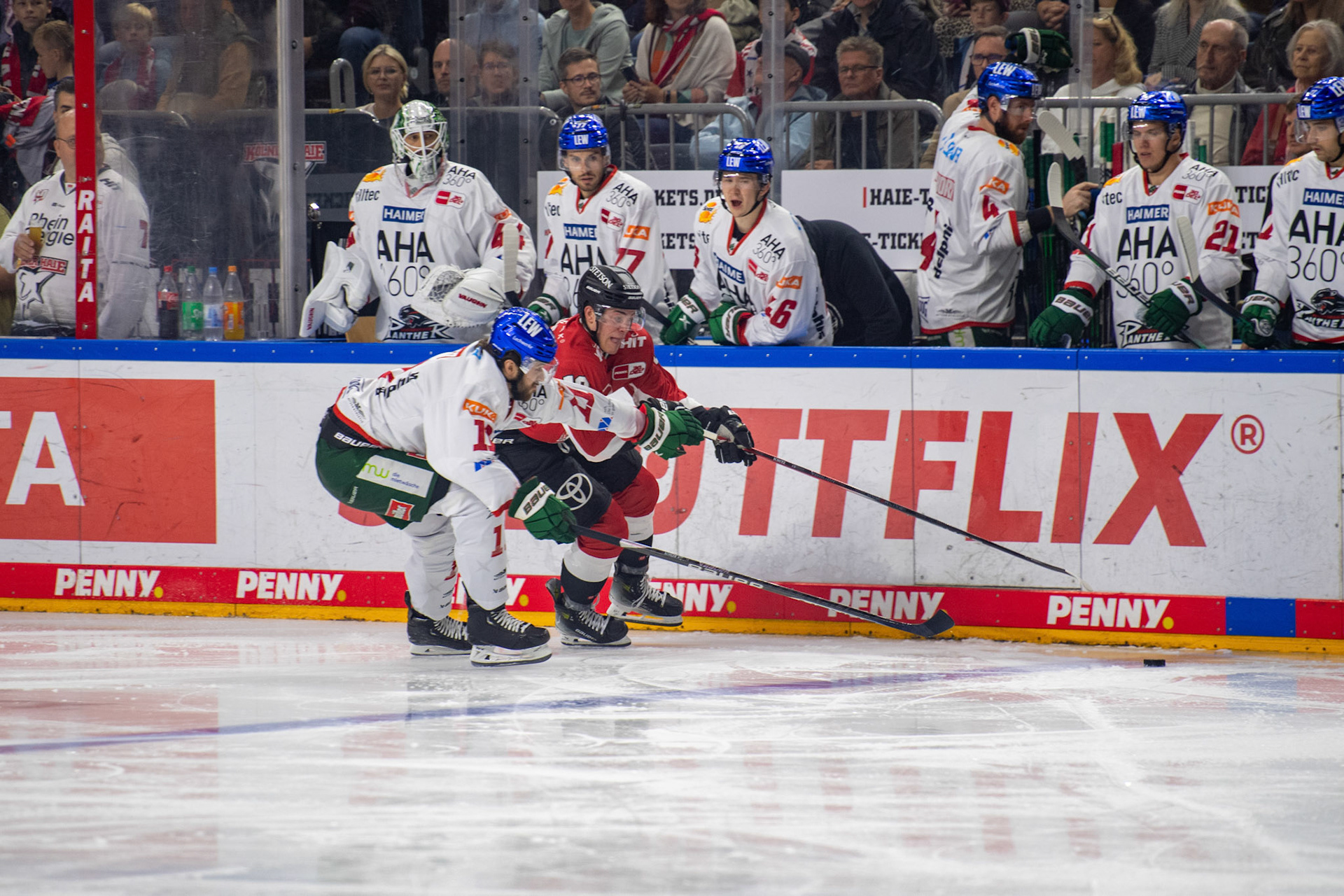 Frederik Storm; DEL Kölner Haie - Augsburger Panther, 03.10.2023