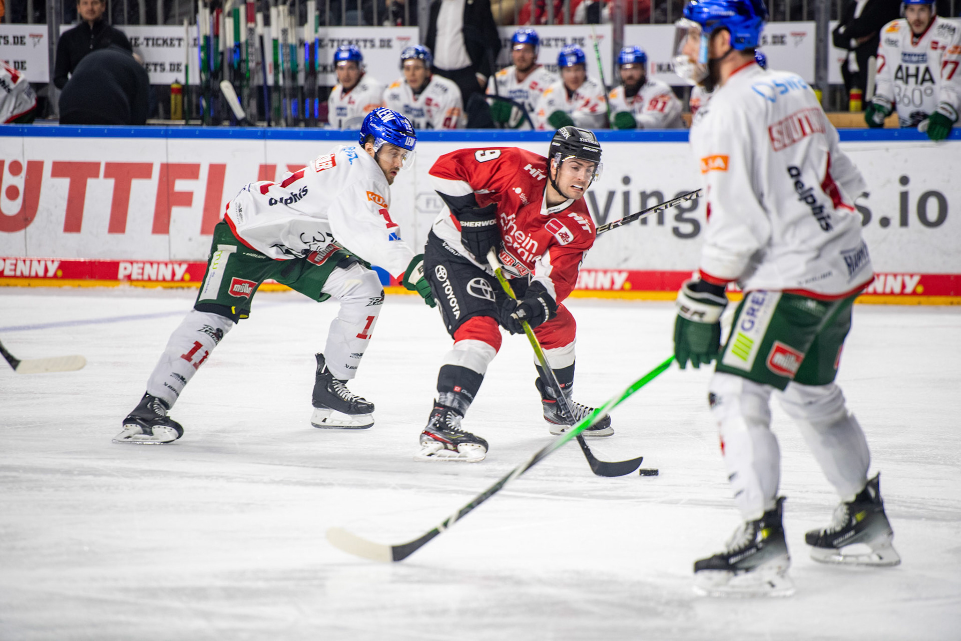 Maximilian Kammerer im Zweikampf; DEL Kölner Haie - Augsburger Panther, 19.11.2023