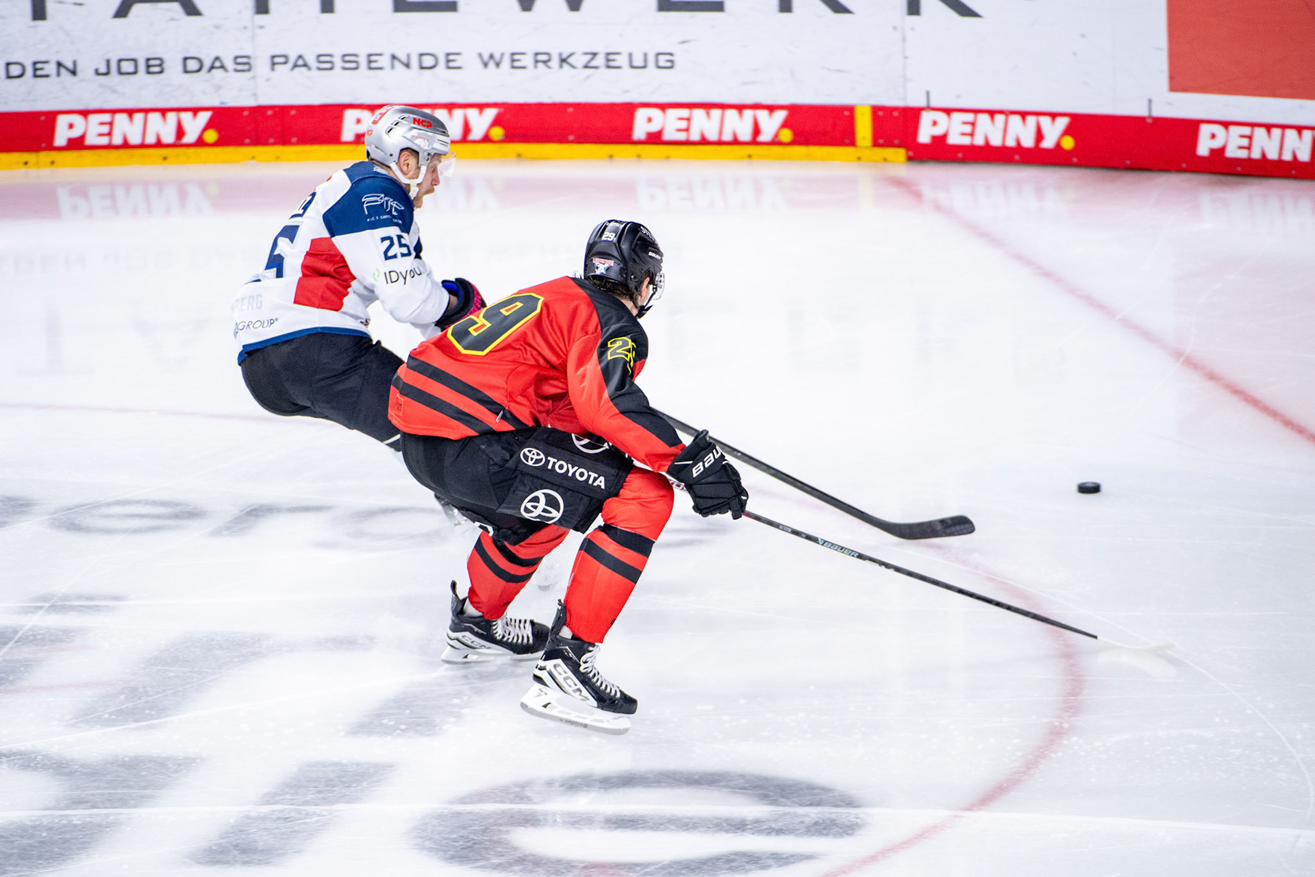Andrej Sustr im Zweikampf; DEL Kölner Haie - Nürnberg Ice Tigers, 17.12.2023